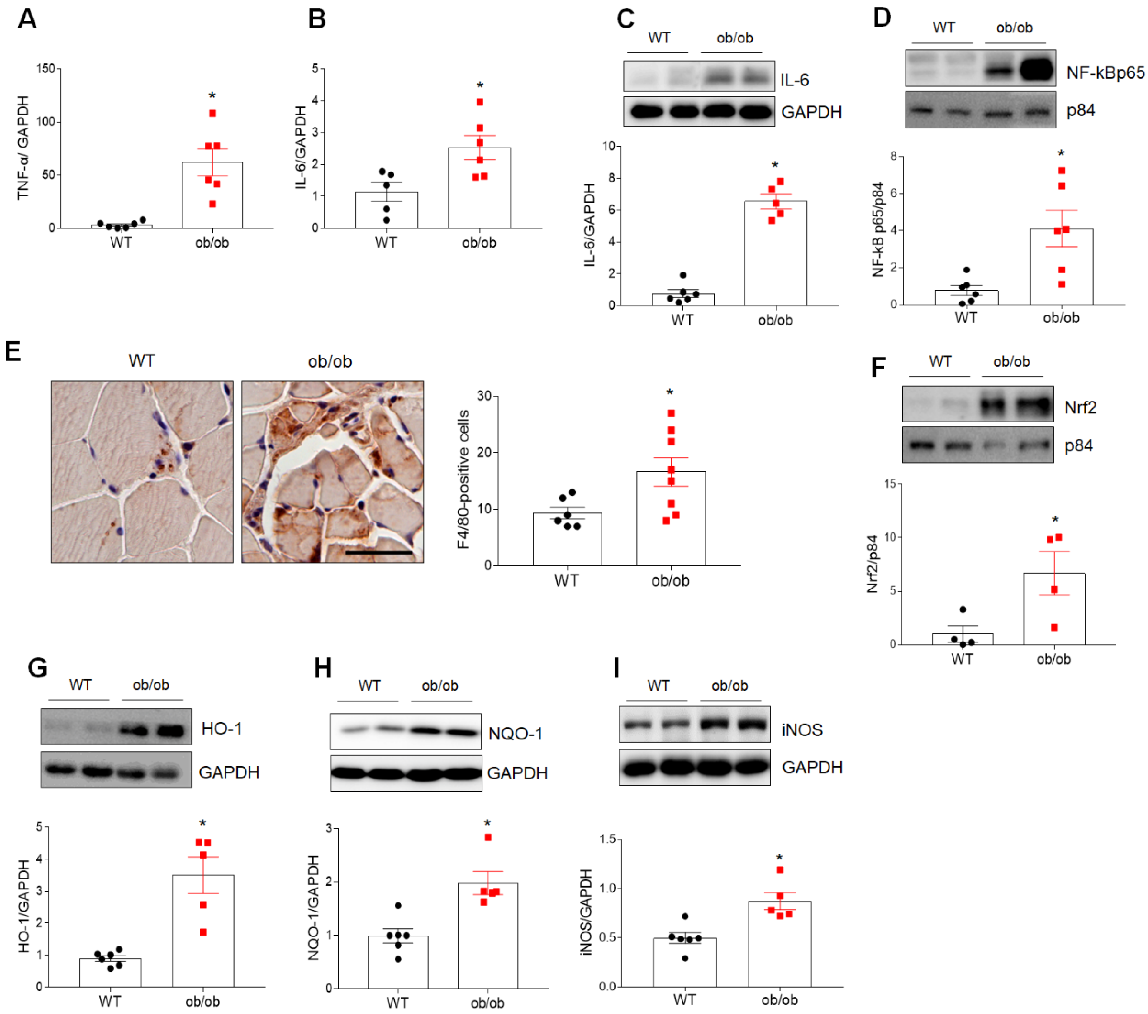 Antioxidants 10 00758 g002 Antioxidants 10 00758 g002