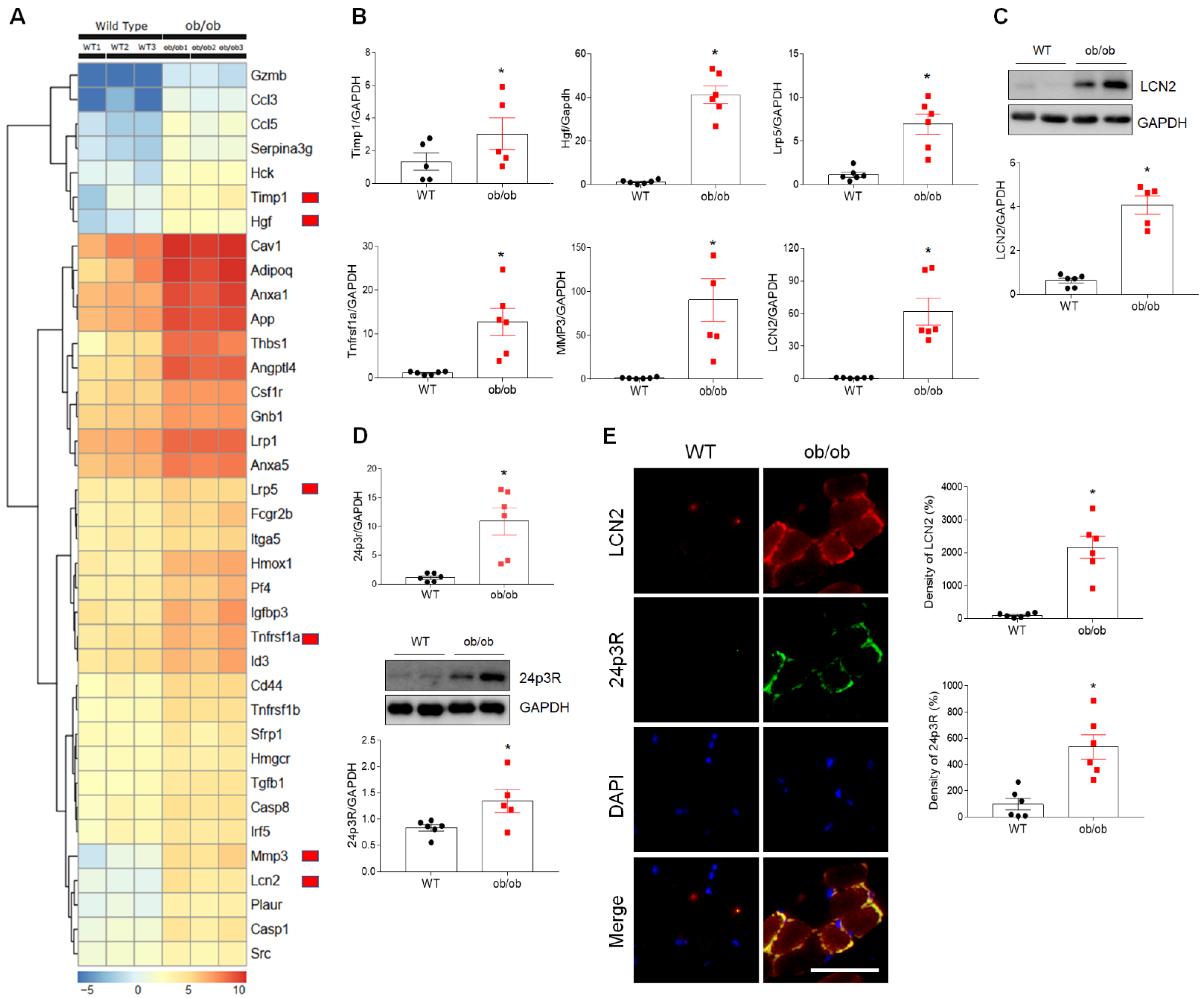 Antioxidants 10 00758 g003 Antioxidants 10 00758 g003