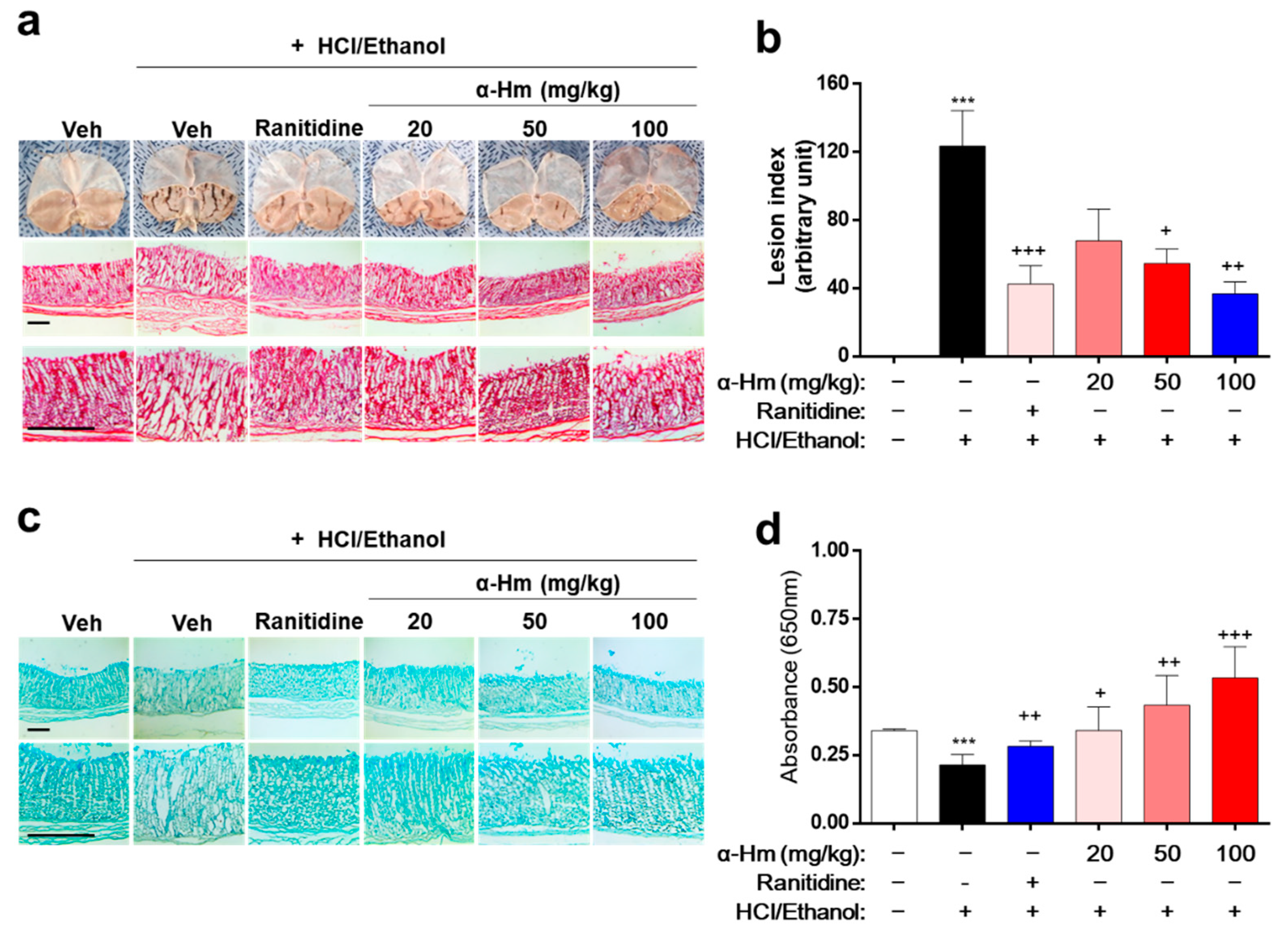 Antioxidants 10 00761 g001 Antioxidants 10 00761 g001