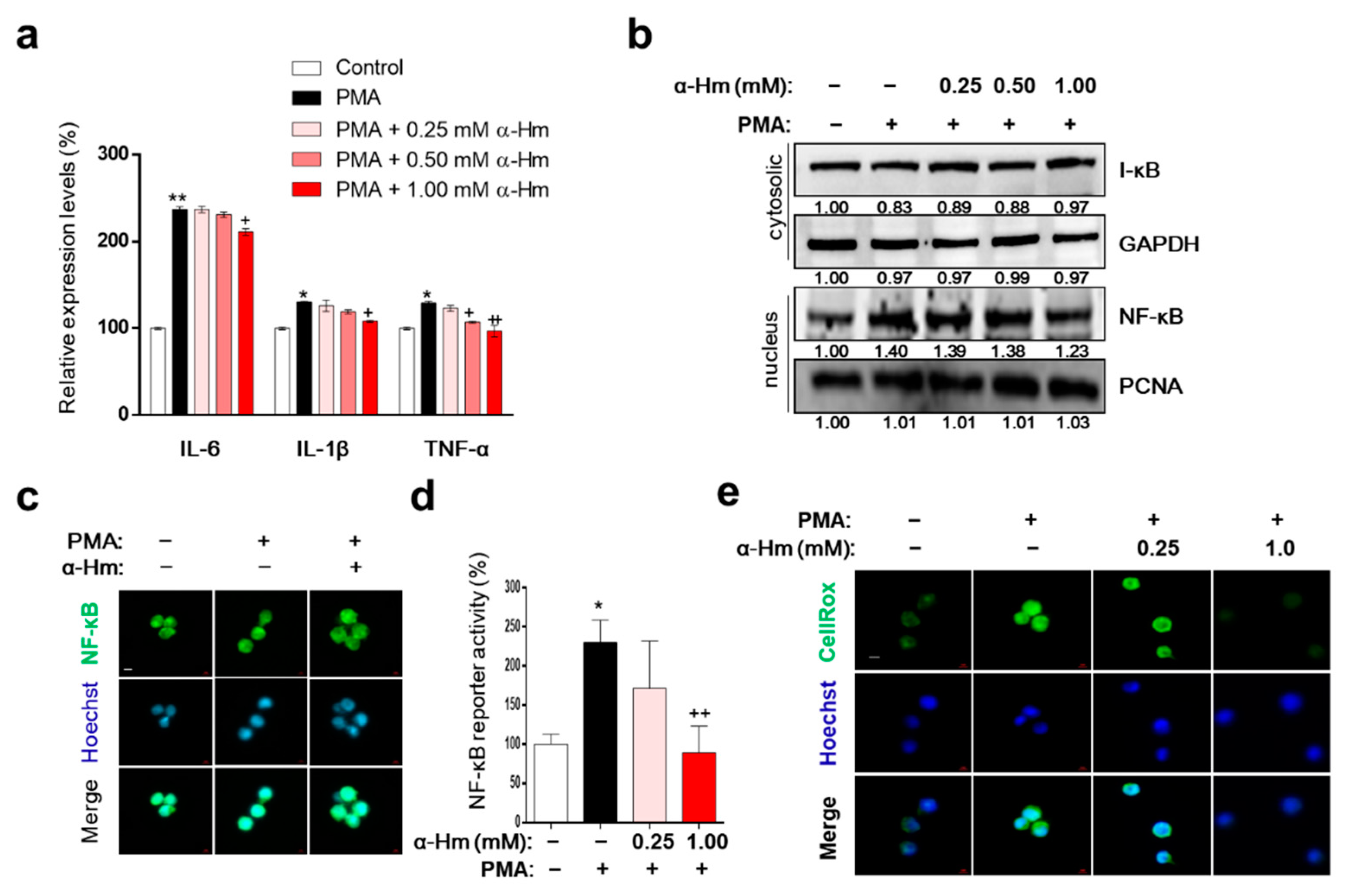 Antioxidants 10 00761 g005 Antioxidants 10 00761 g005