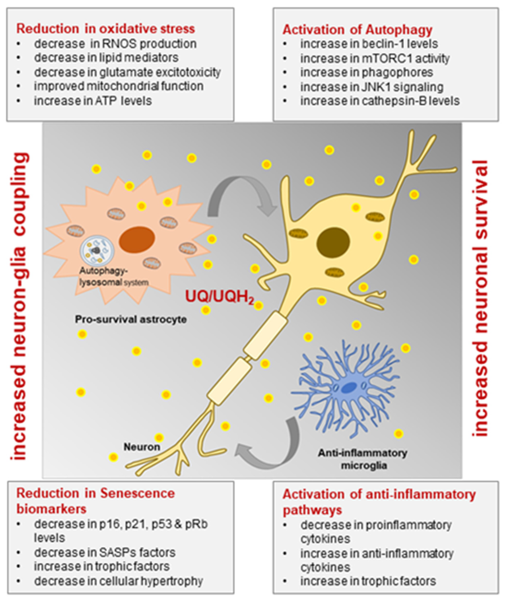 Antioxidants 10 00764 g004 Antioxidants 10 00764 g004
