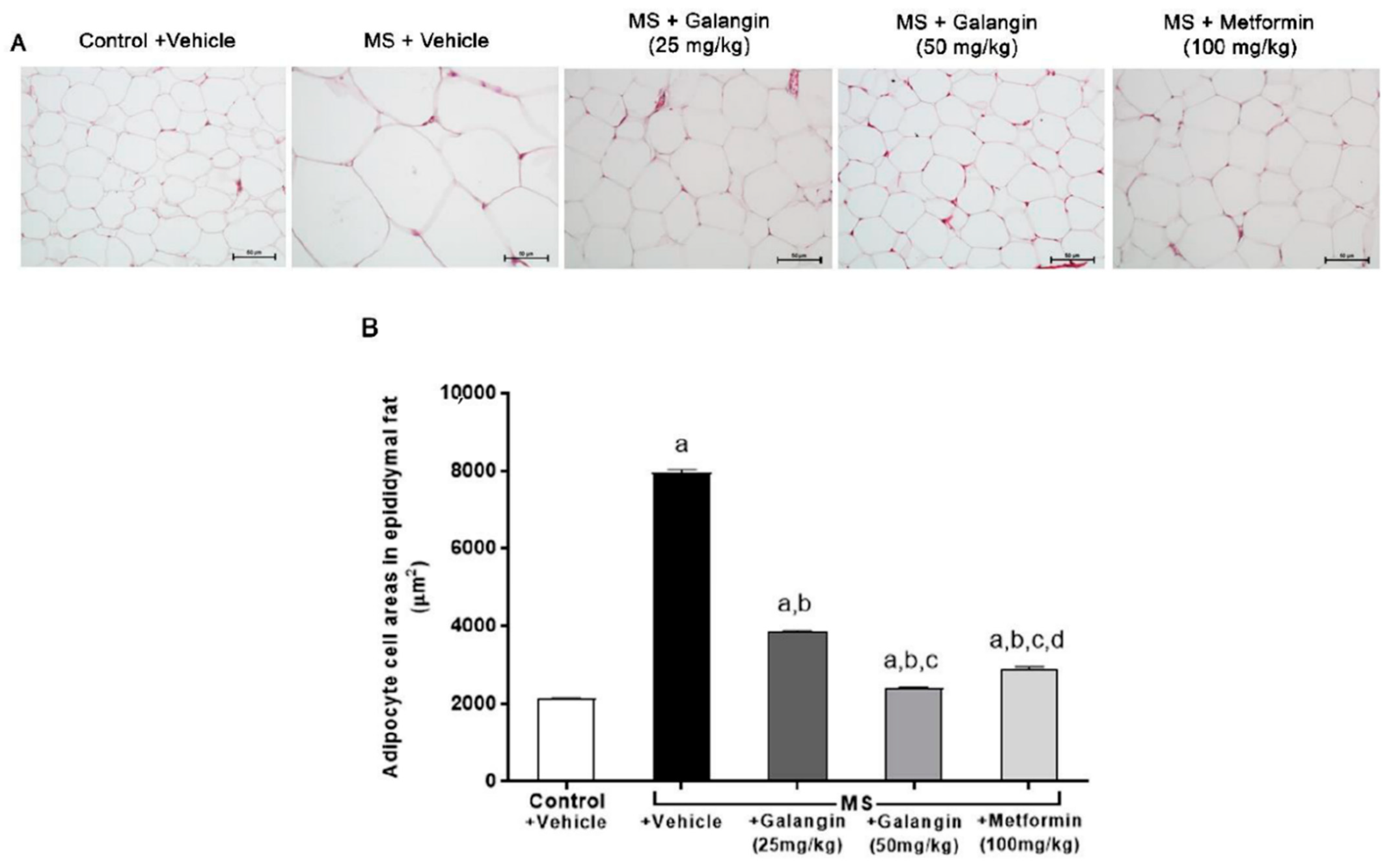 Antioxidants 10 00769 g002