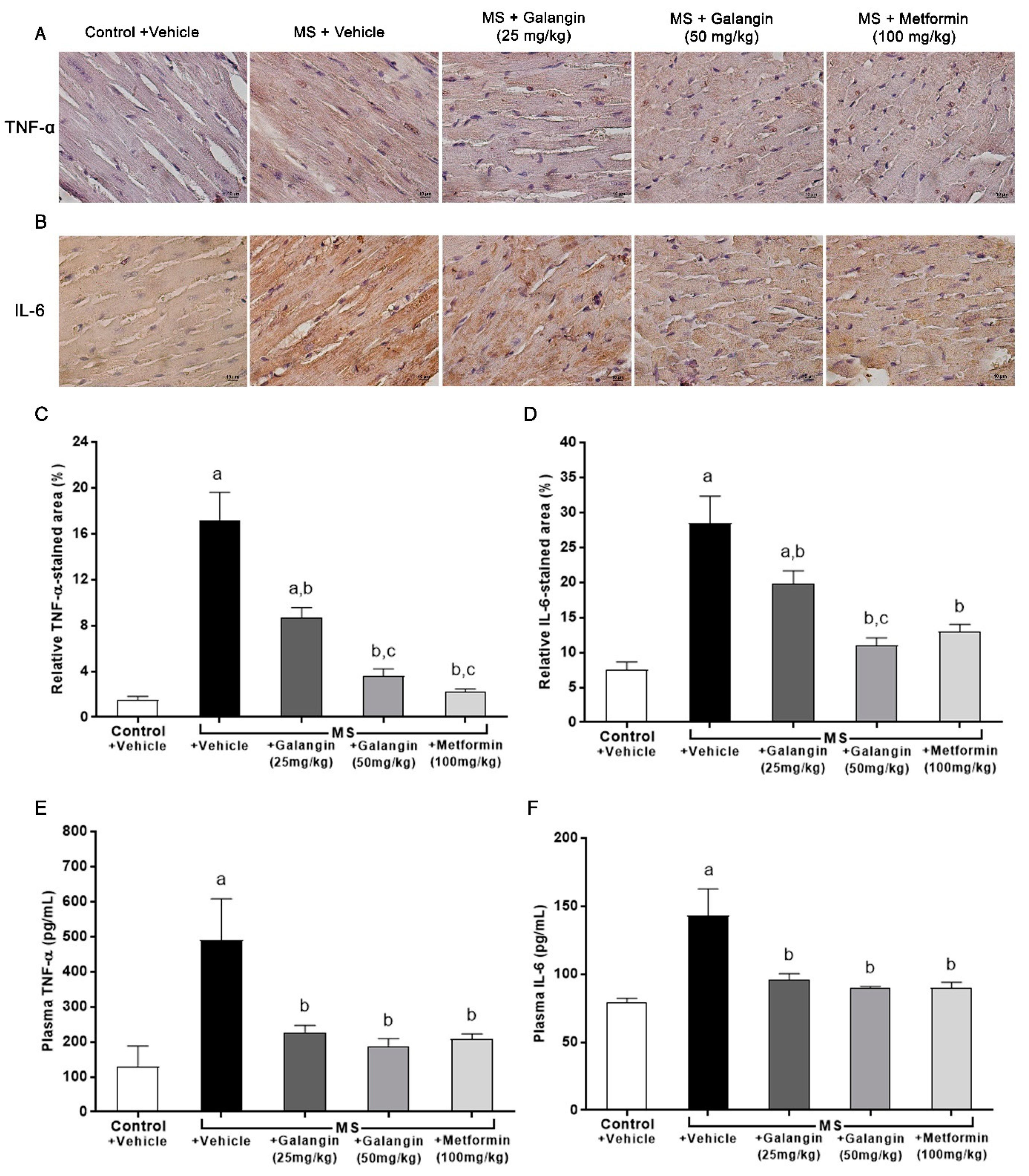 Antioxidants 10 00769 g005
