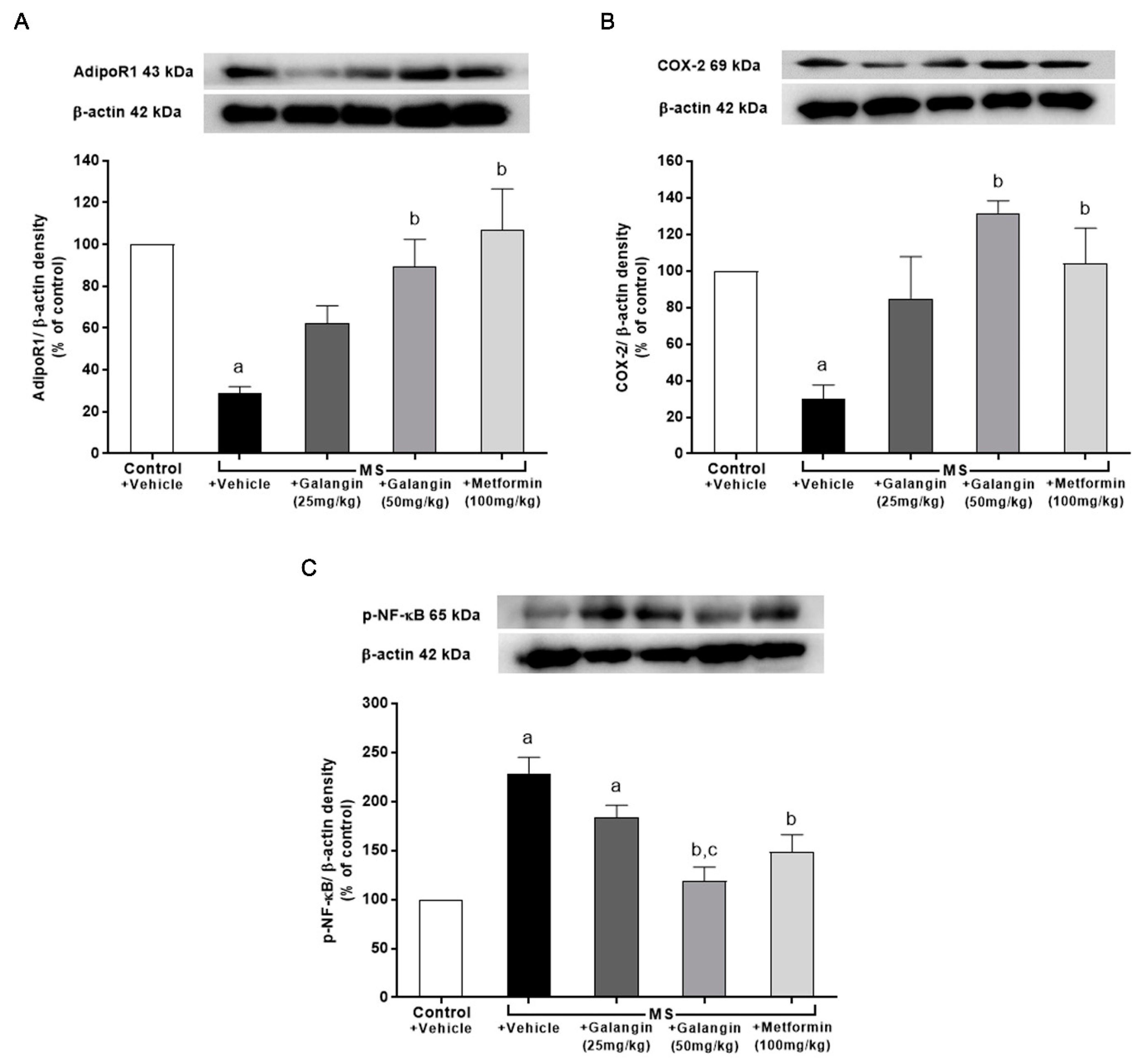Antioxidants 10 00769 g008