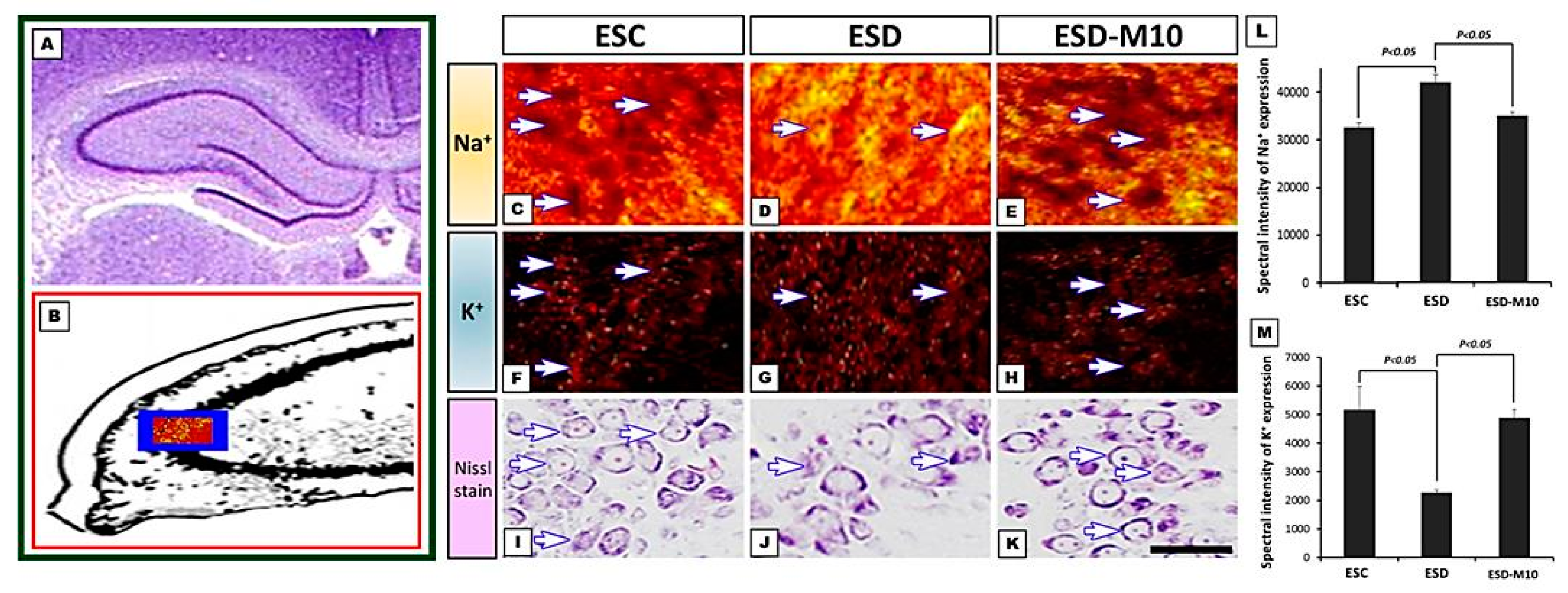 Antioxidants 10 00774 g003
