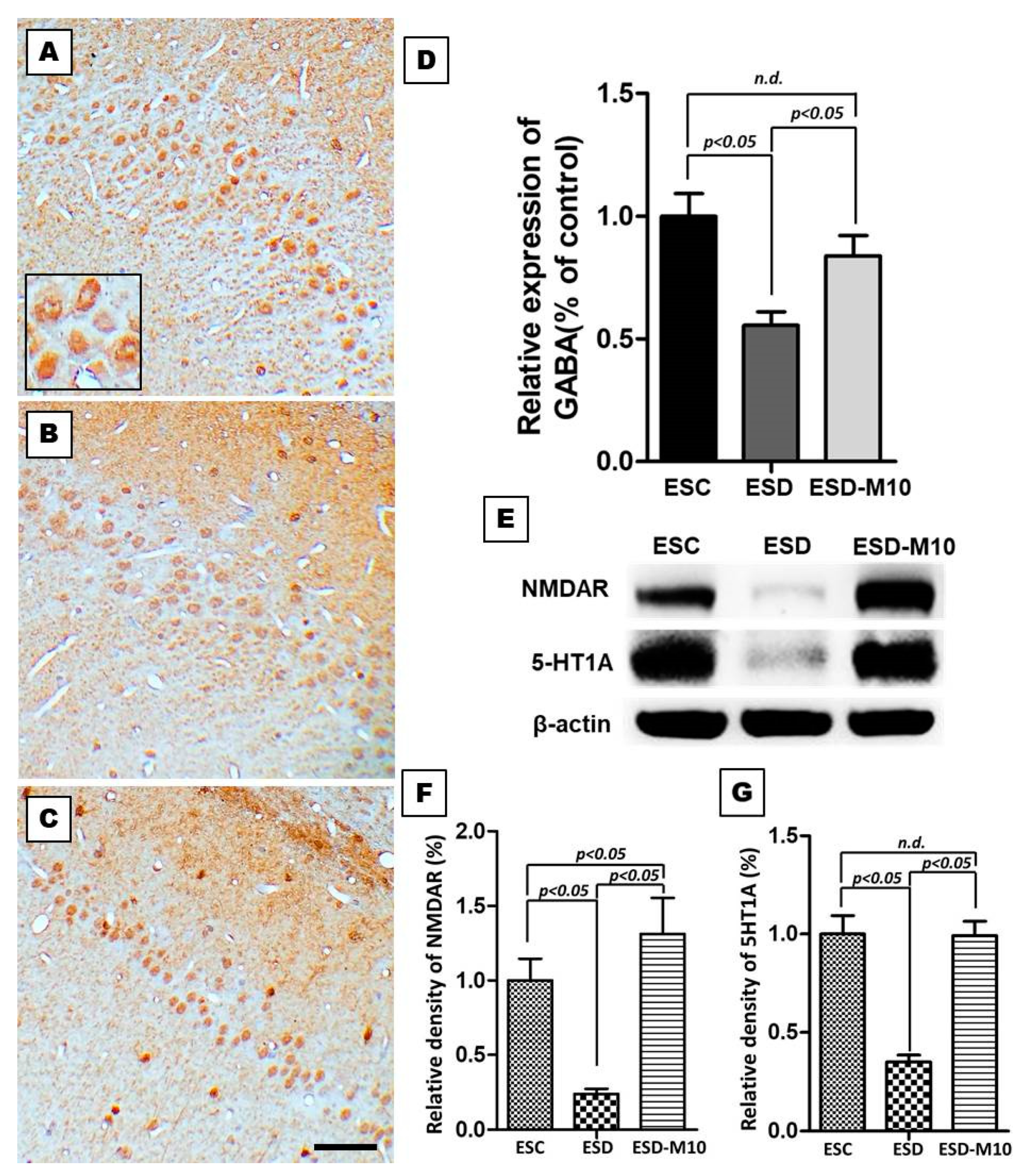 Antioxidants 10 00774 g004