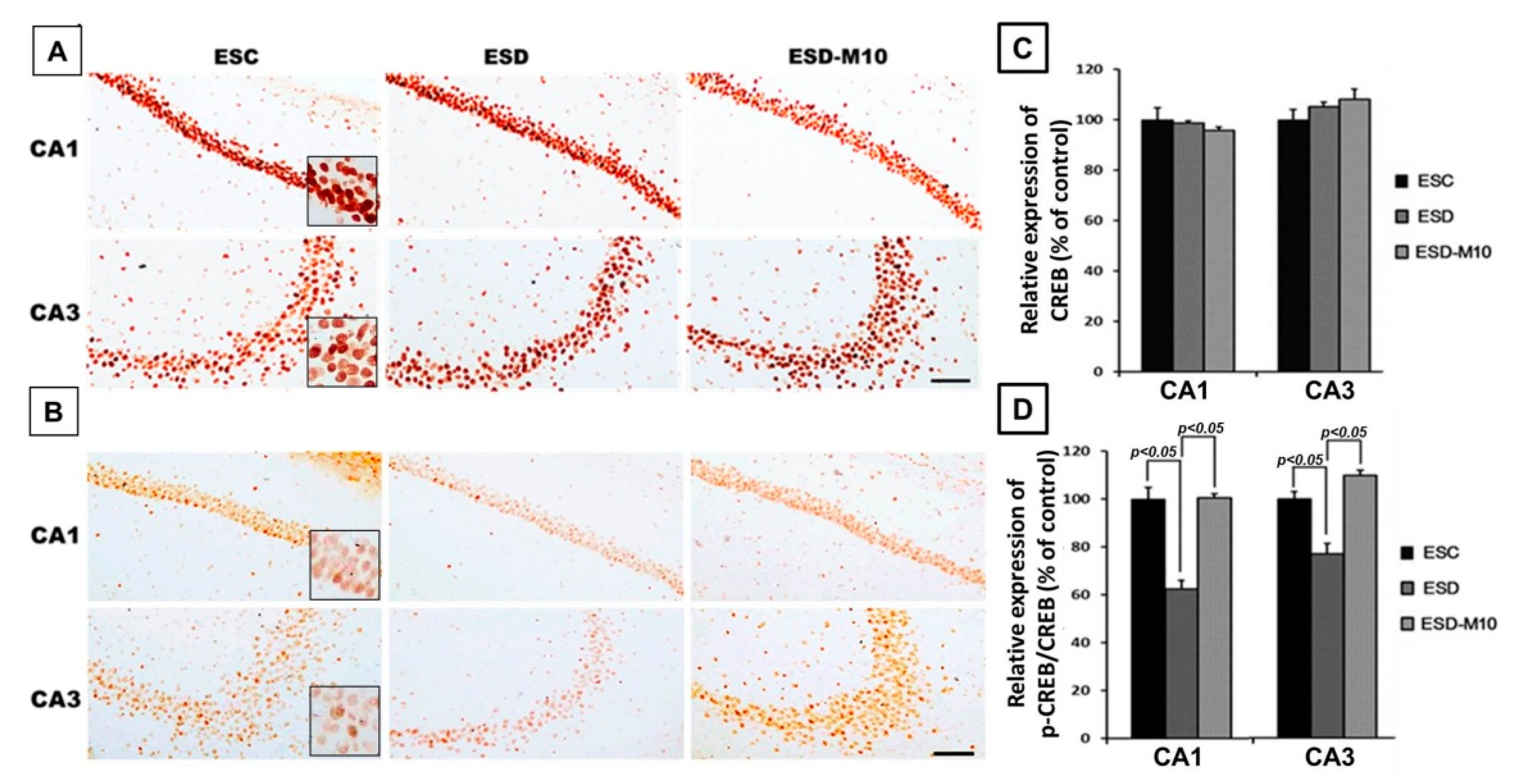 Antioxidants 10 00774 g005