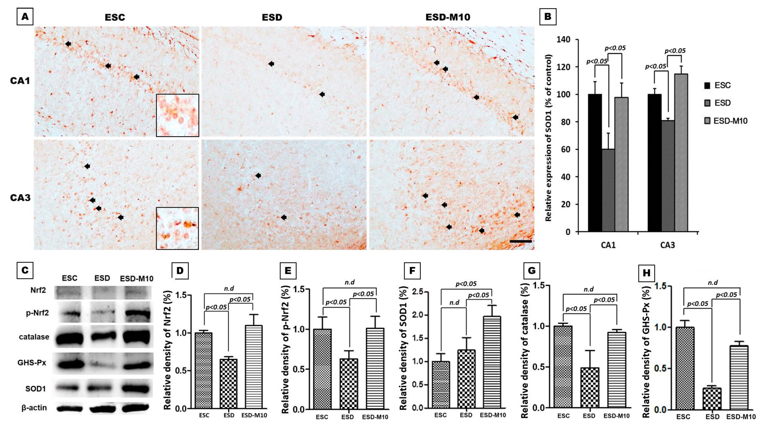 Antioxidants 10 00774 g006