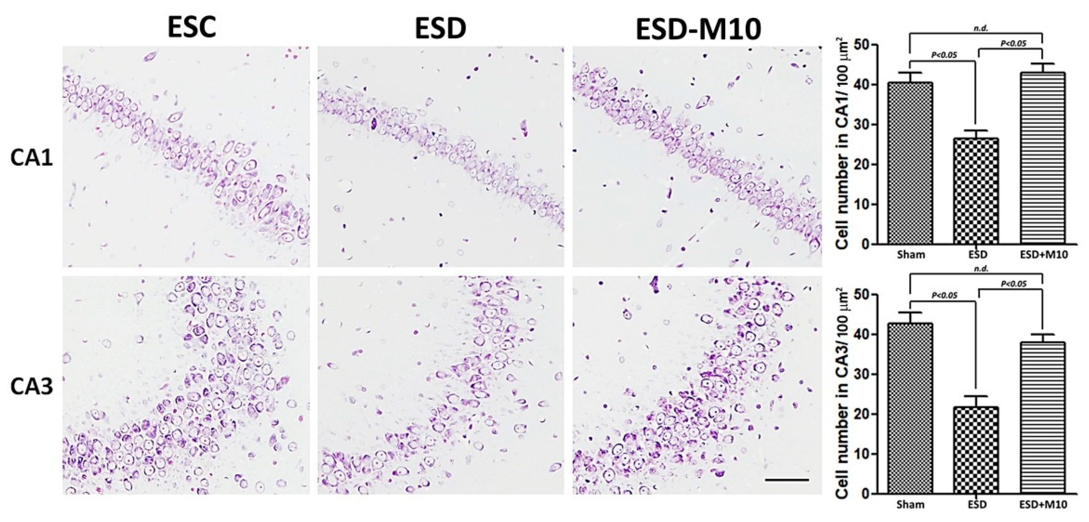 Antioxidants 10 00774 g007