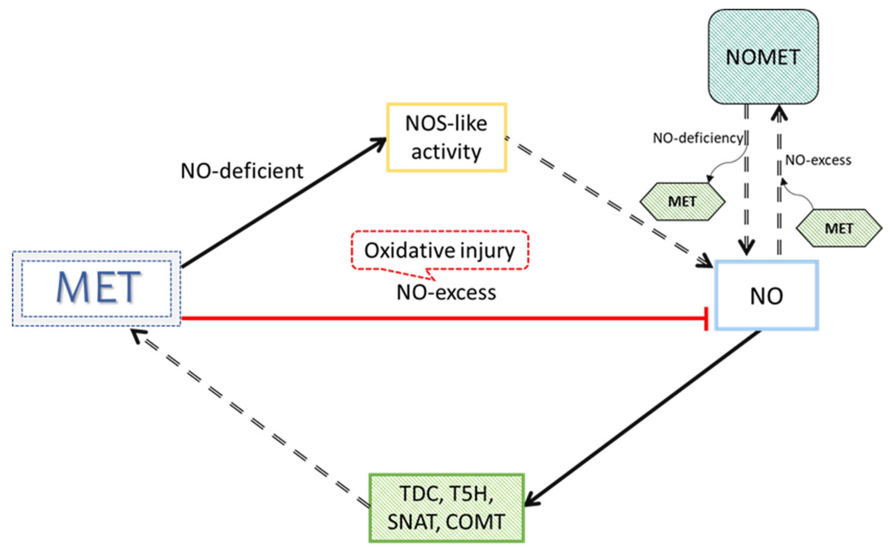 Antioxidants 10 00775 g004 Antioxidants 10 00775 g004
