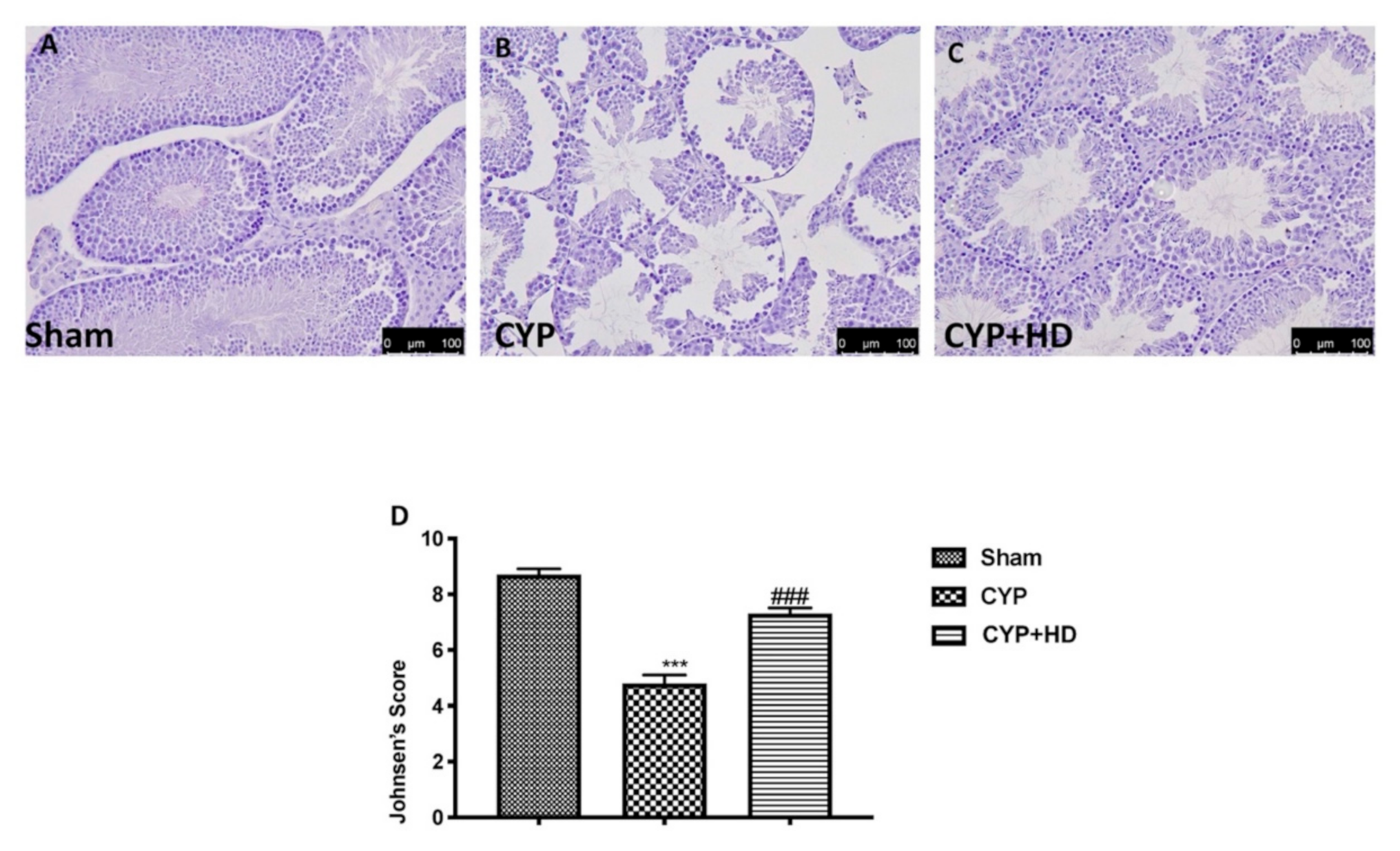 Antioxidants 10 00778 g002