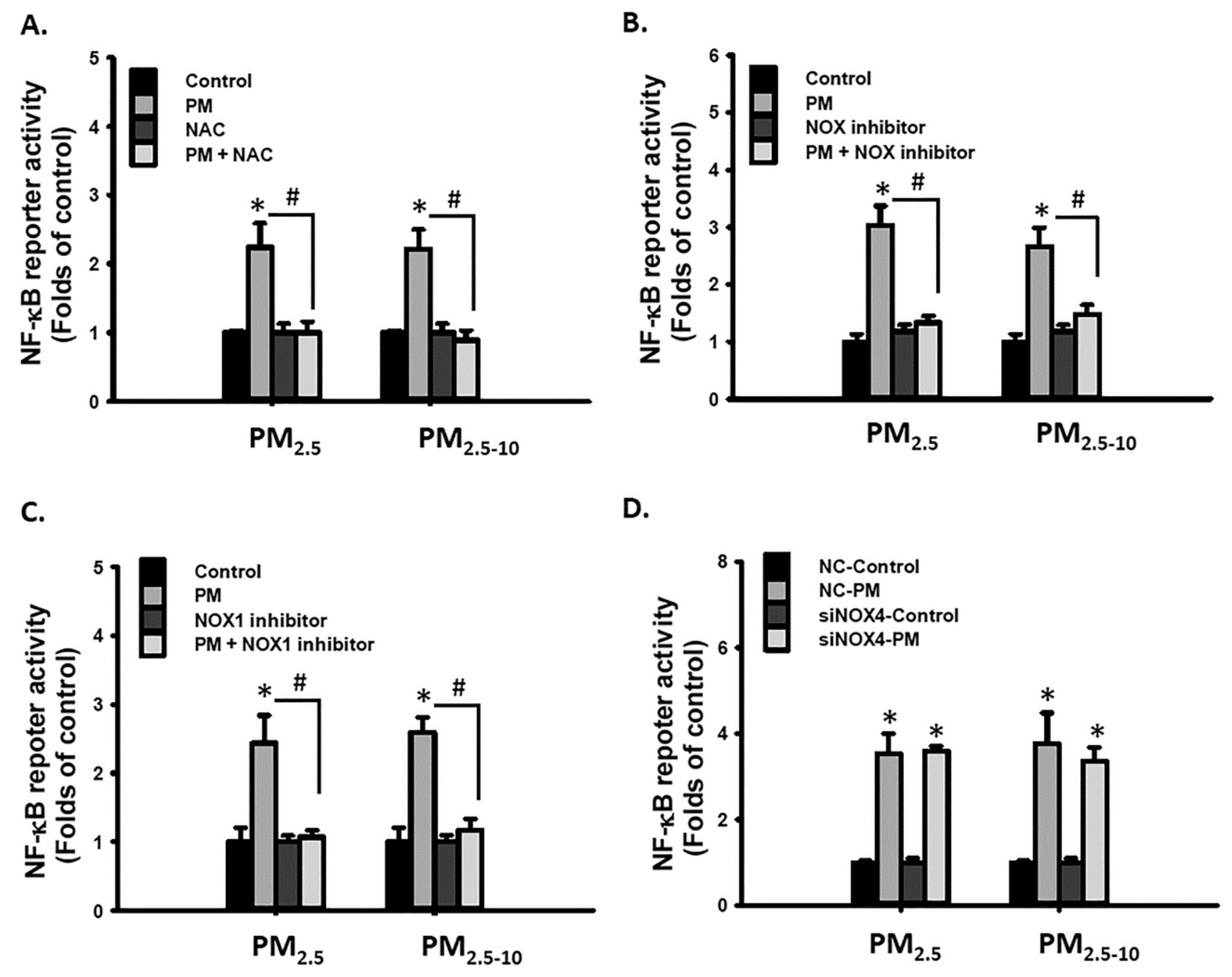 Antioxidants 10 00782 g007 Antioxidants 10 00782 g007