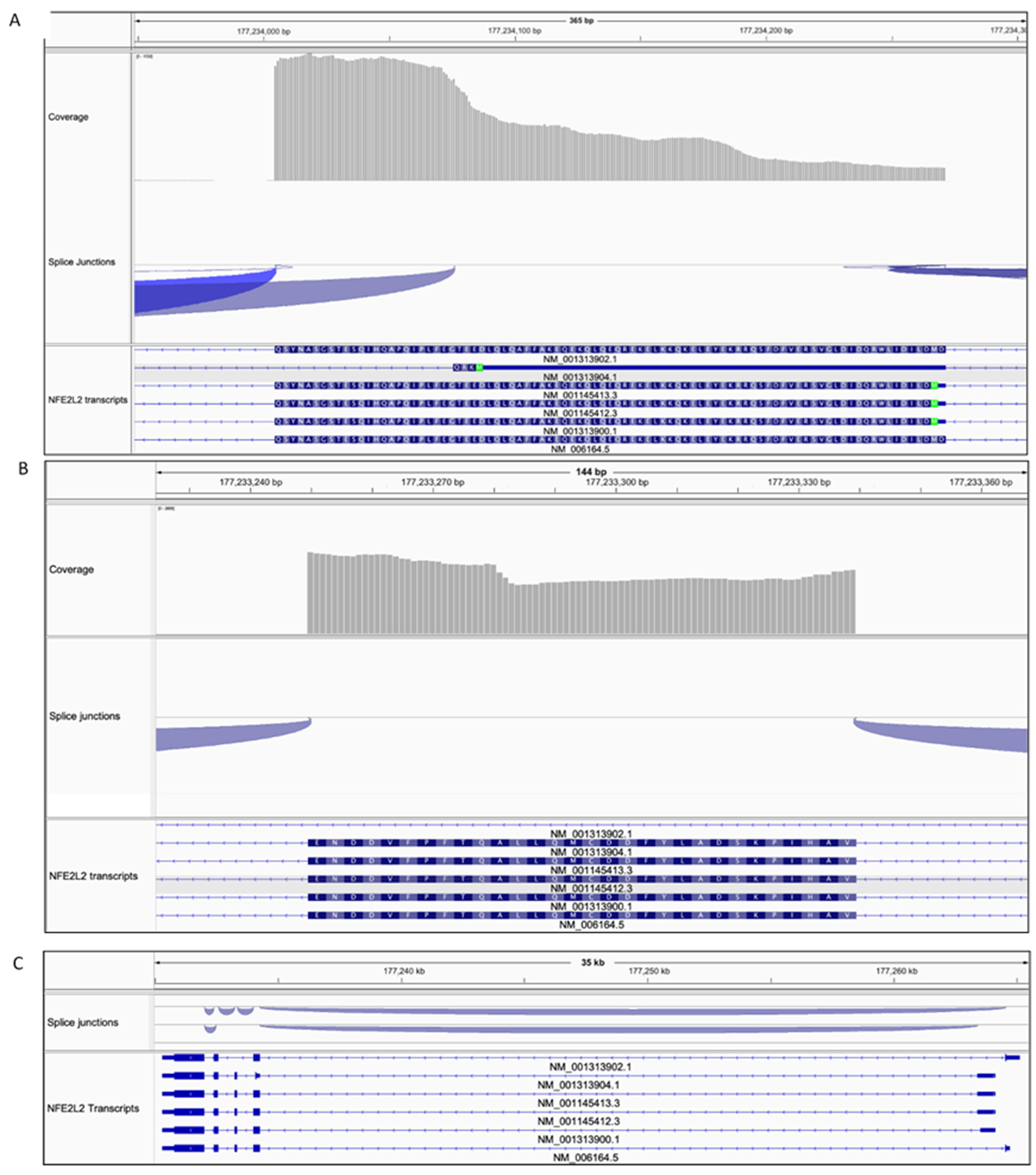 Antioxidants 10 00786 g008