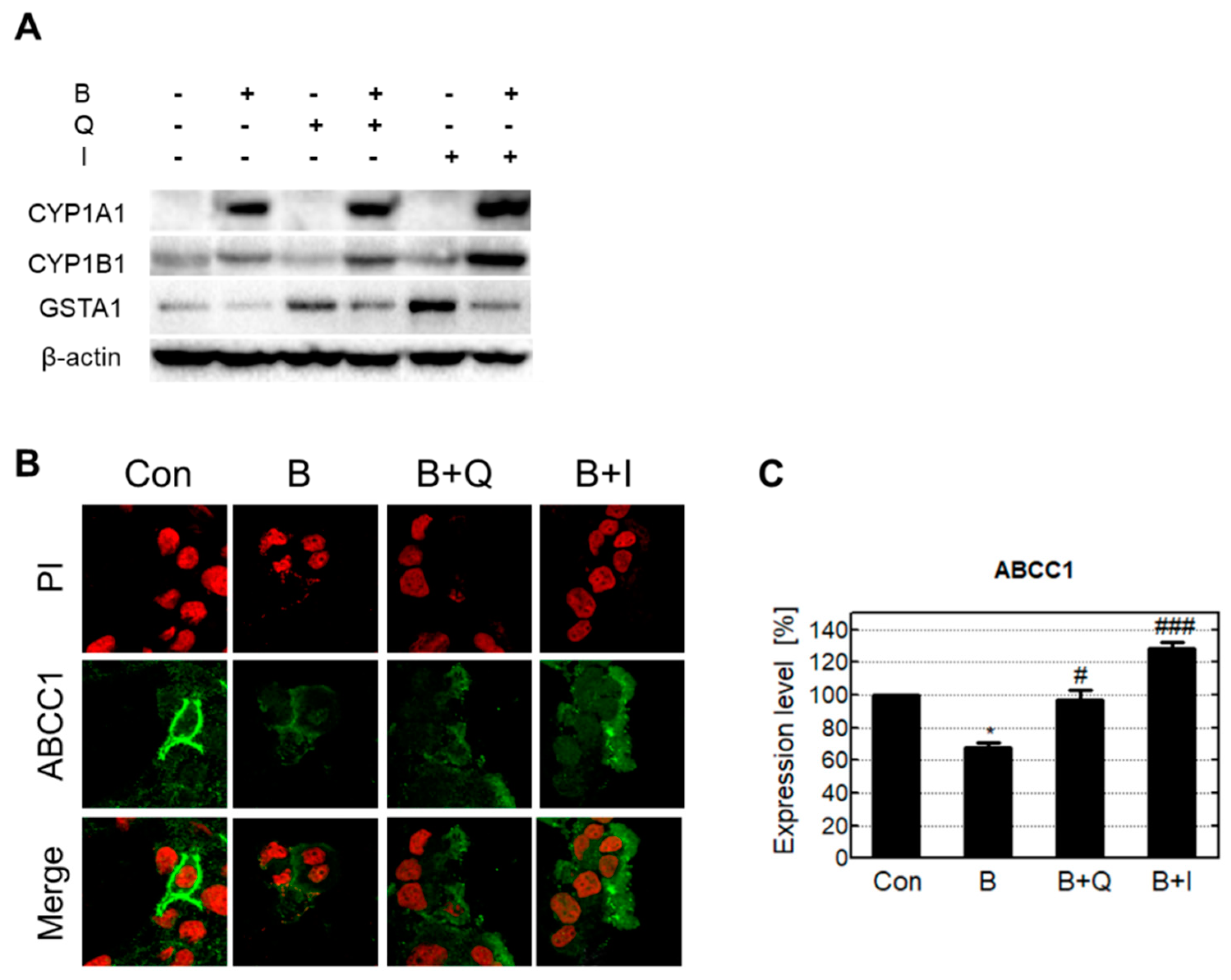 Antioxidants 10 00787 g005