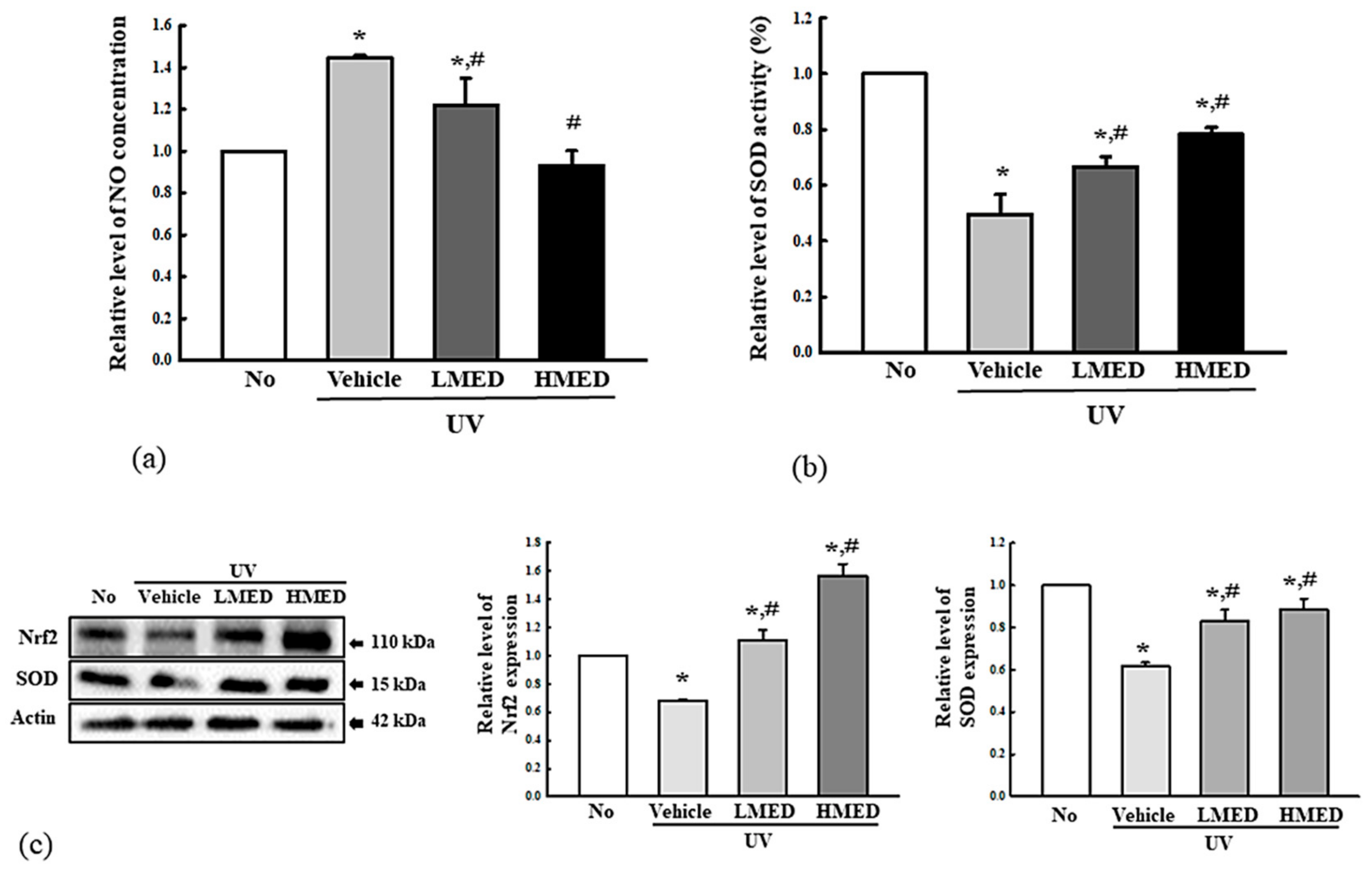 Antioxidants 10 00791 g009