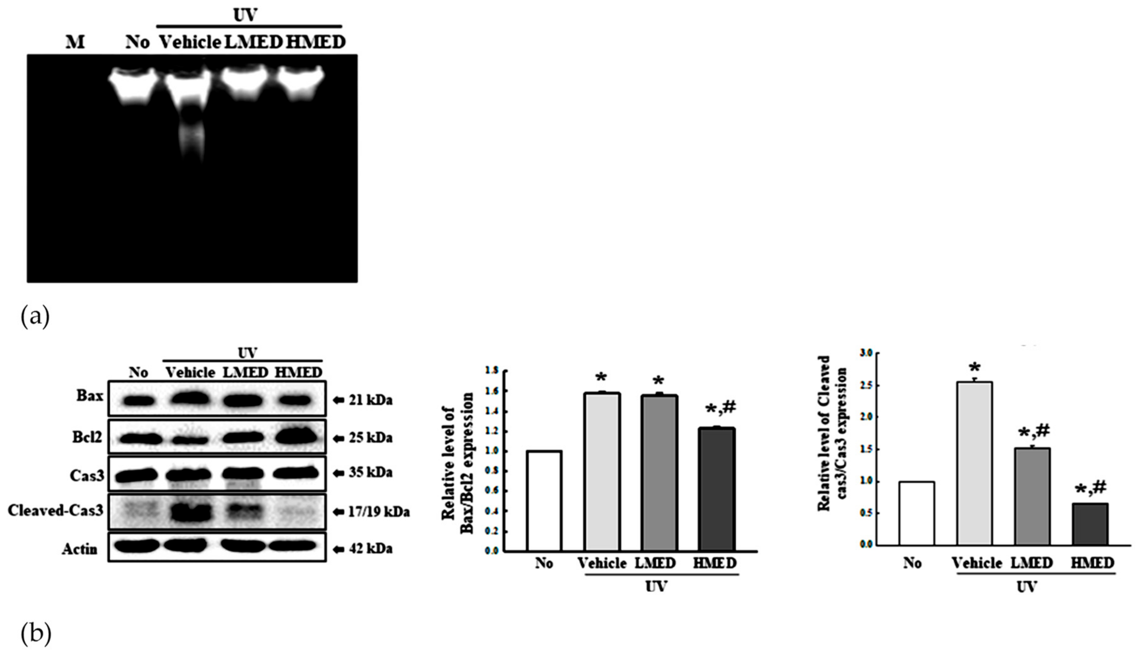 Antioxidants 10 00791 g010