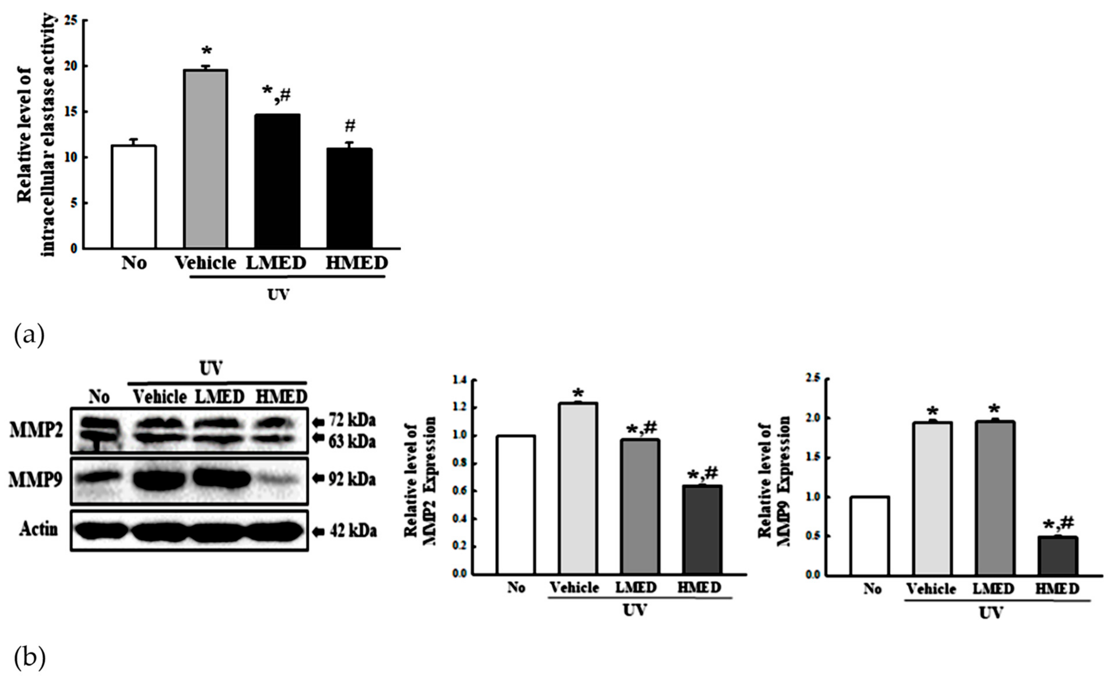 Antioxidants 10 00791 g011