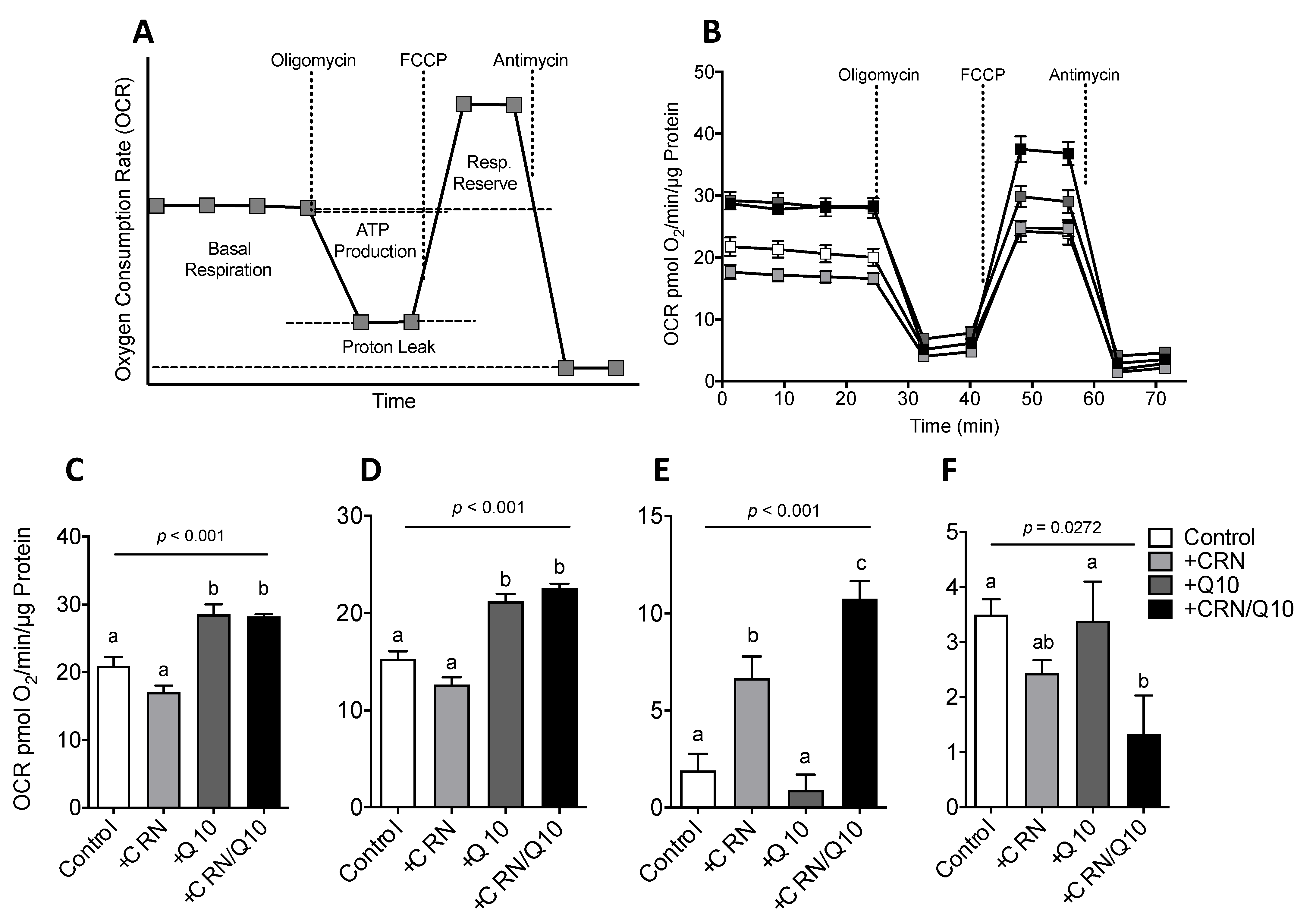 Antioxidants 10 00793 g003