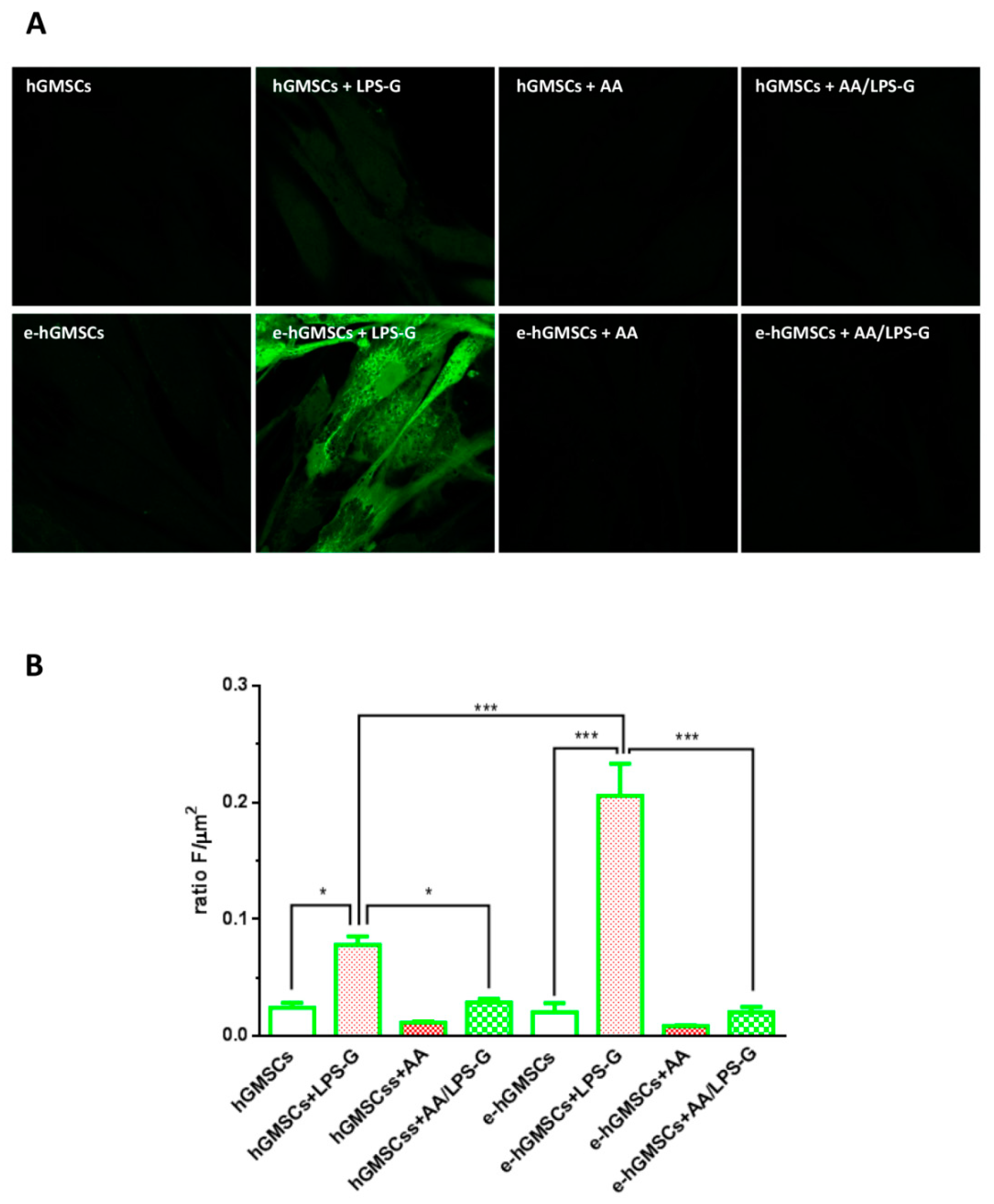 Antioxidants 10 00797 g008 Antioxidants 10 00797 g008