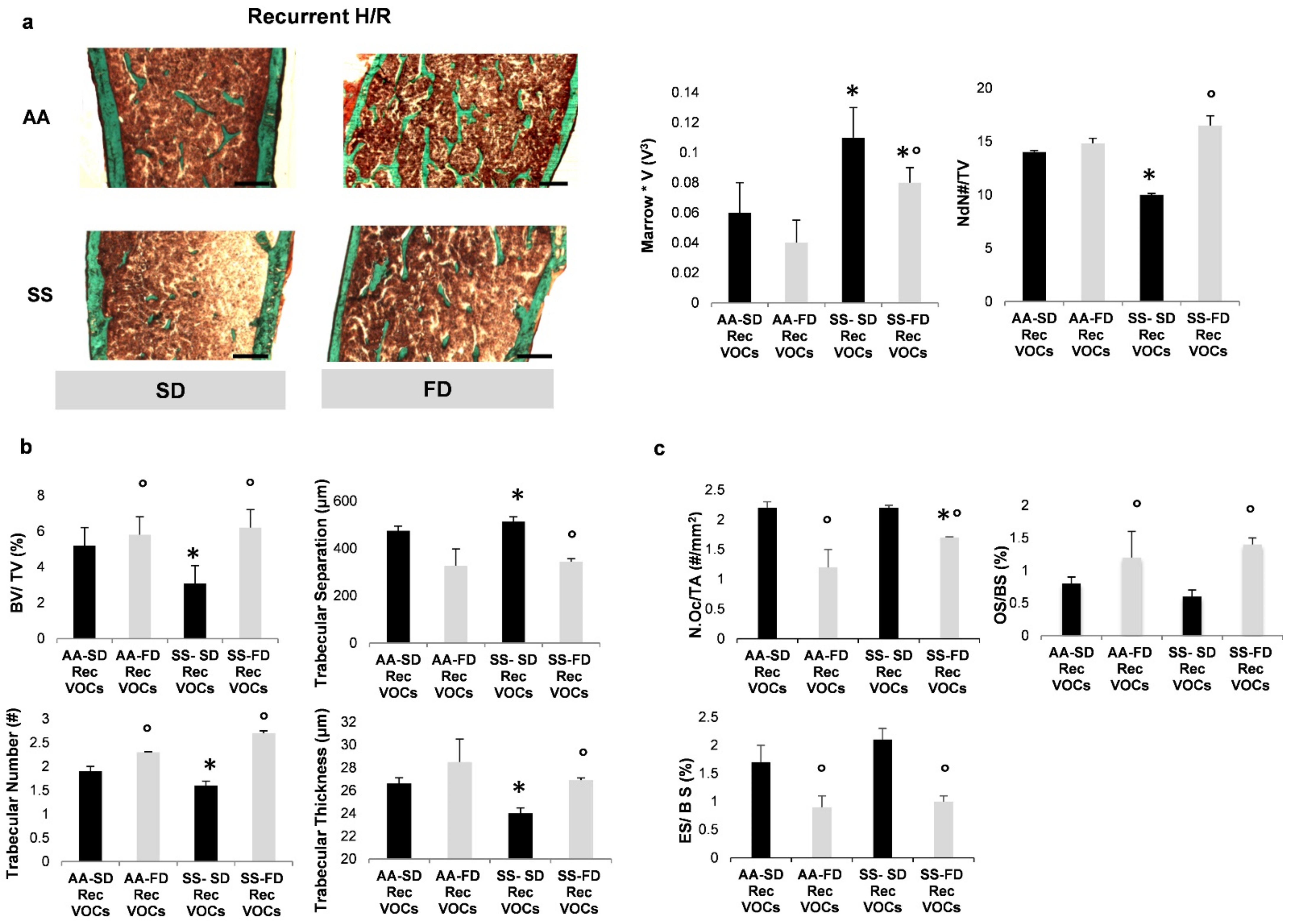 Antioxidants 10 00799 g002
