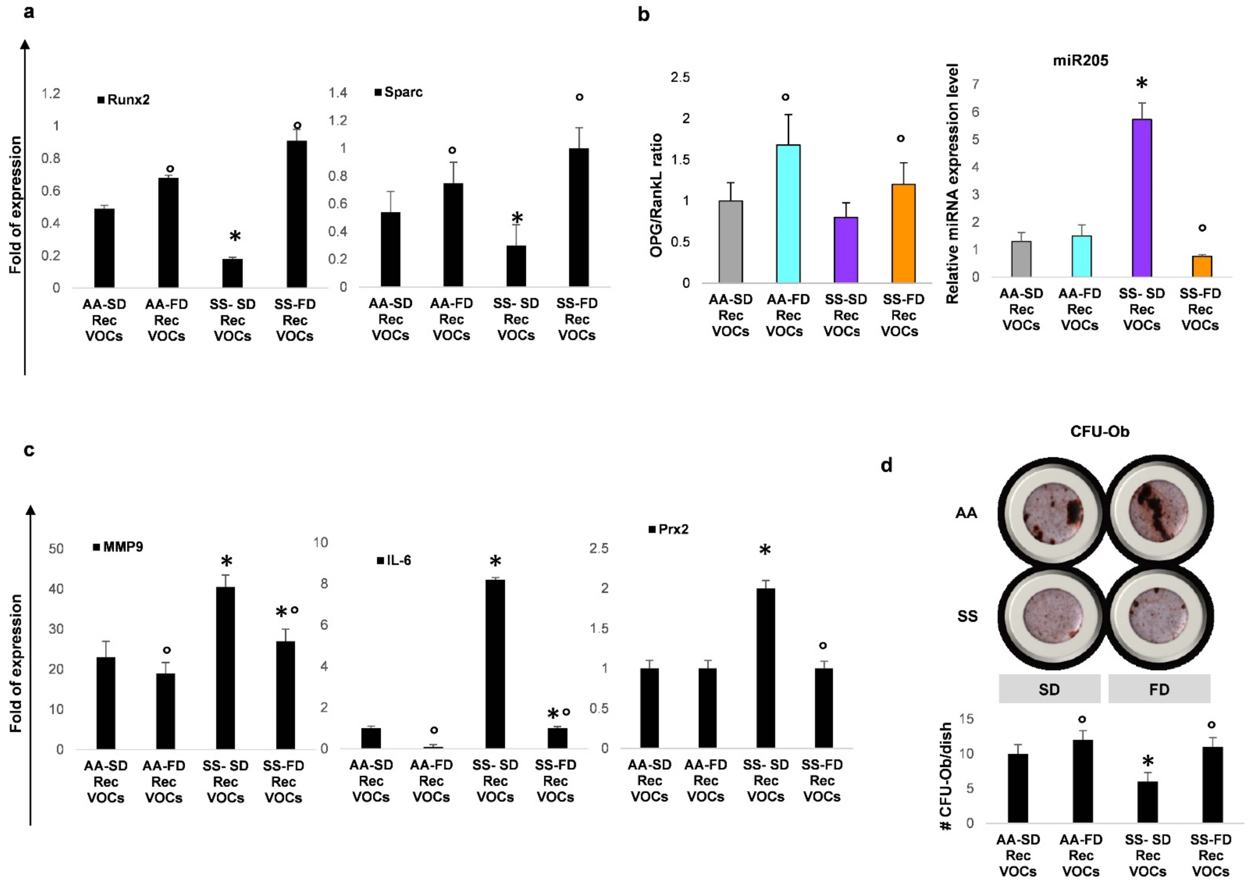 Antioxidants 10 00799 g003