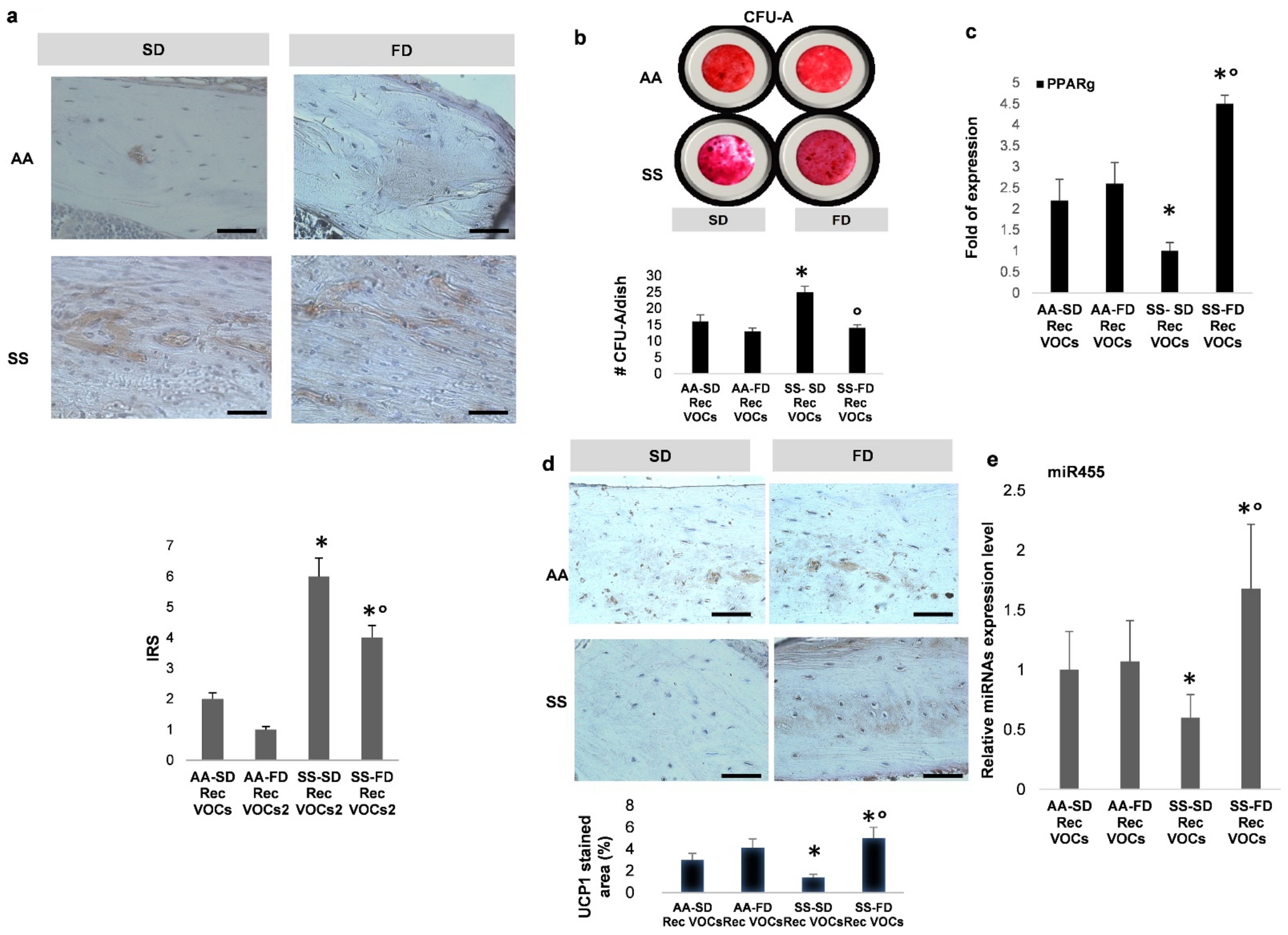 Antioxidants 10 00799 g004