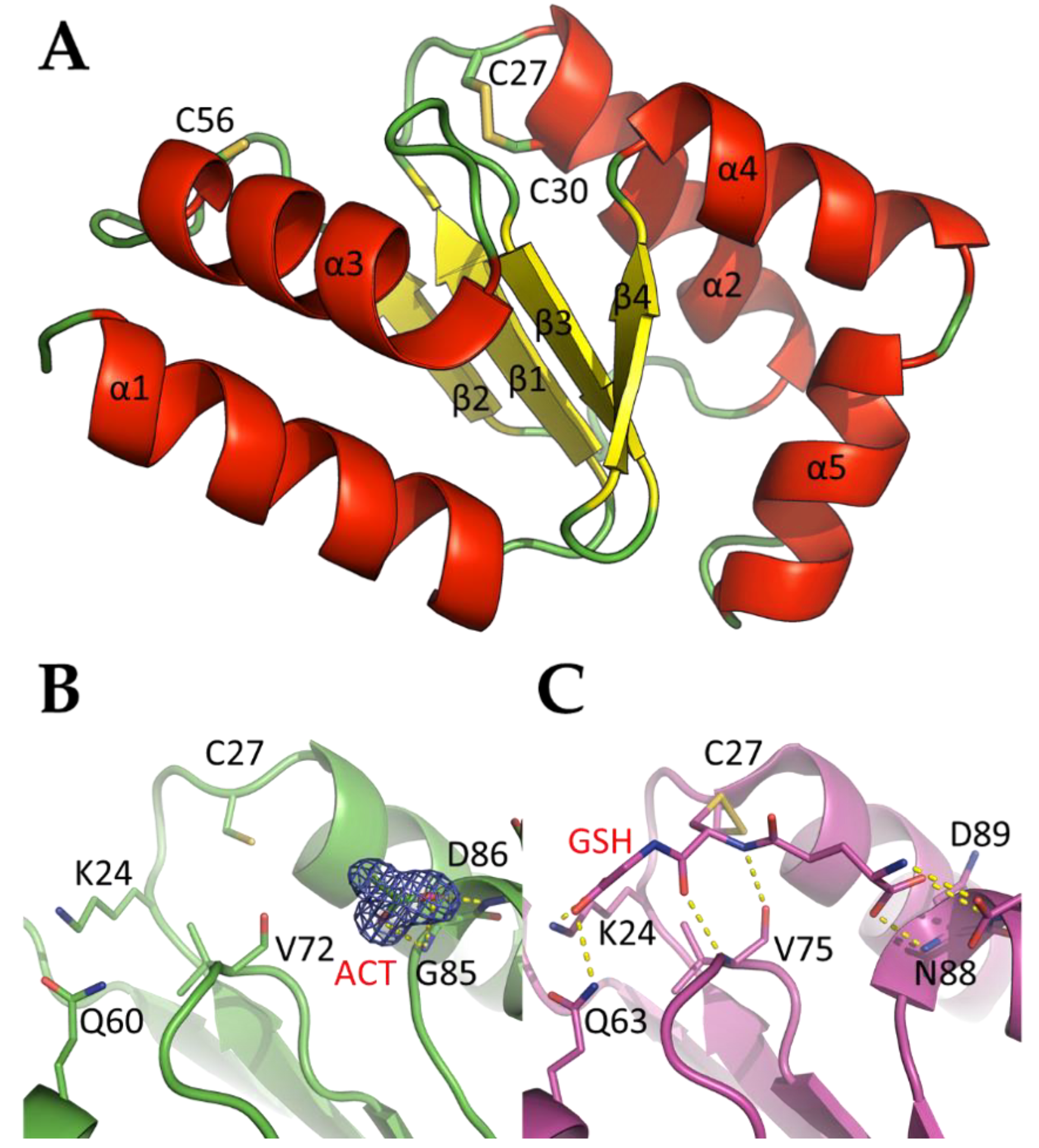 Antioxidants 10 00803 g004