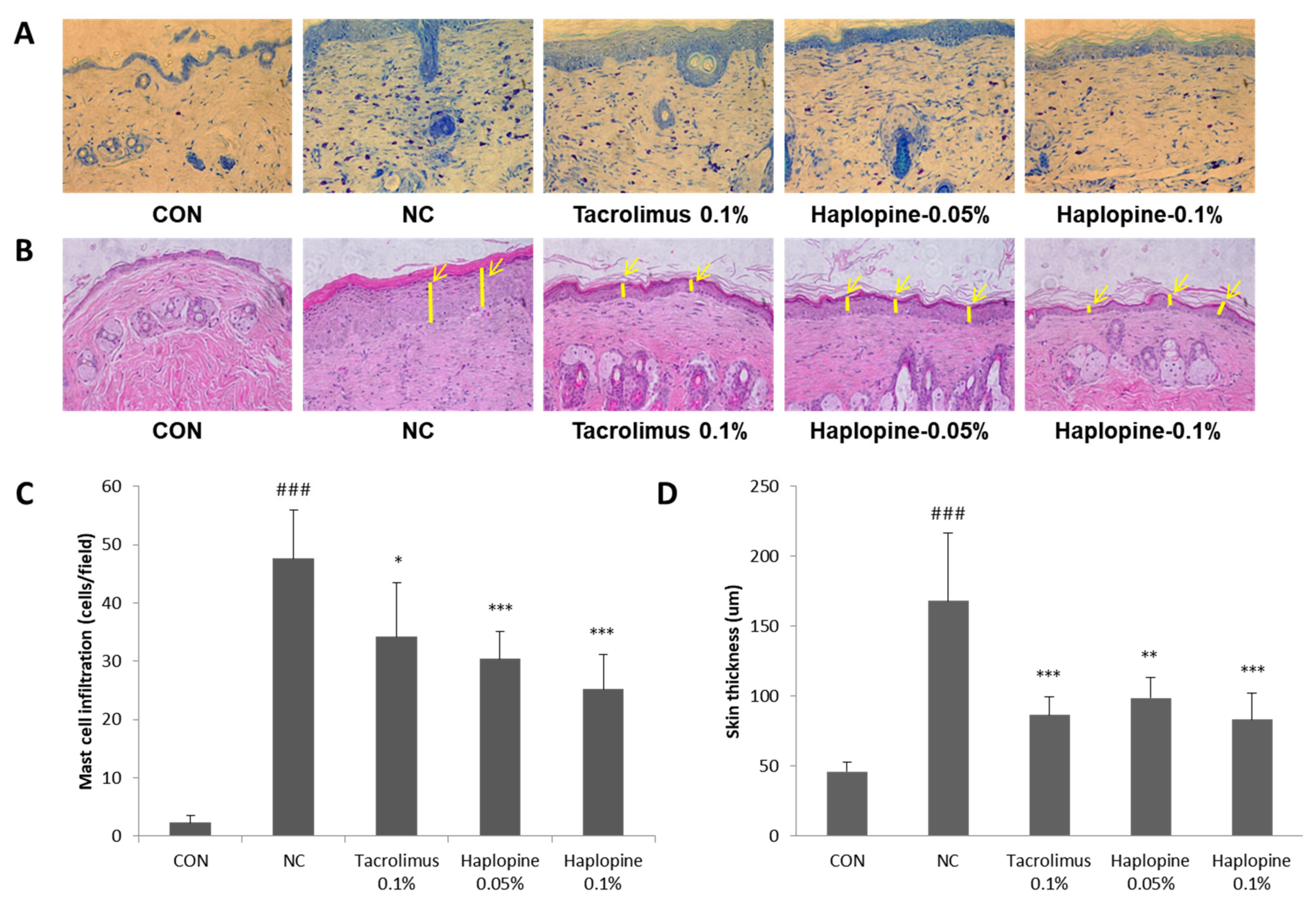 Antioxidants 10 00806 g008 Antioxidants 10 00806 g008