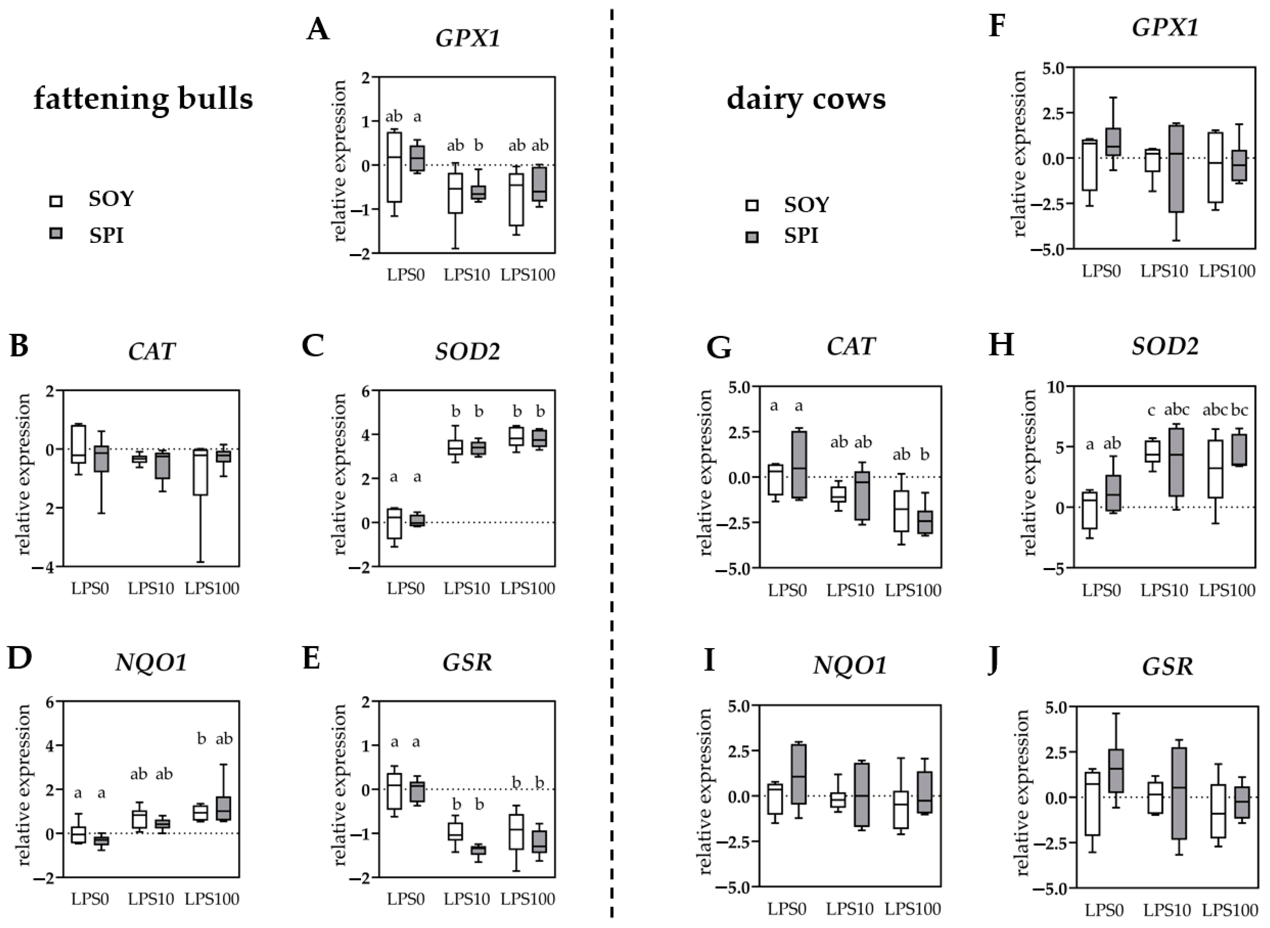 Antioxidants 10 00814 g002