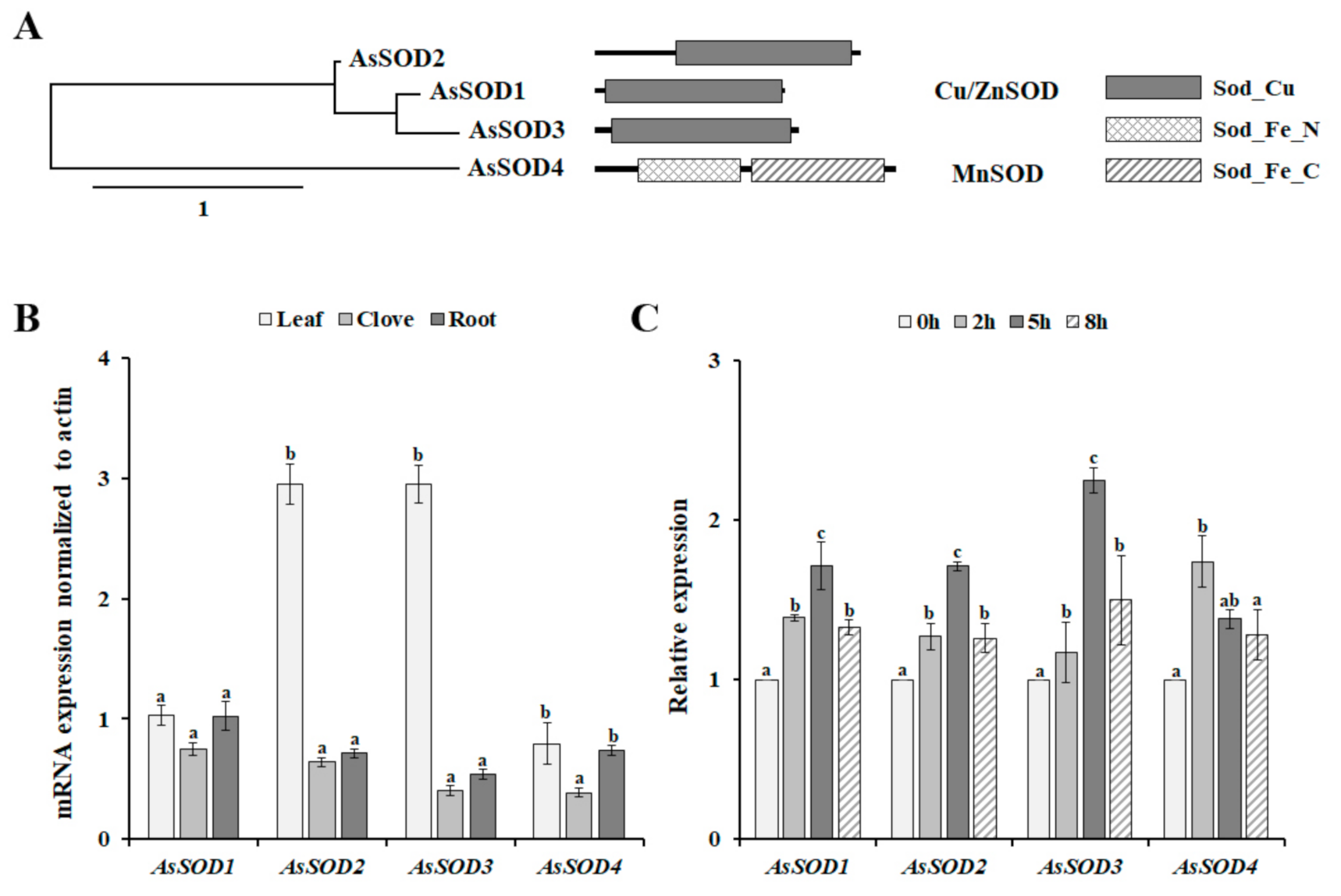 Antioxidants 10 00815 g002 Antioxidants 10 00815 g002