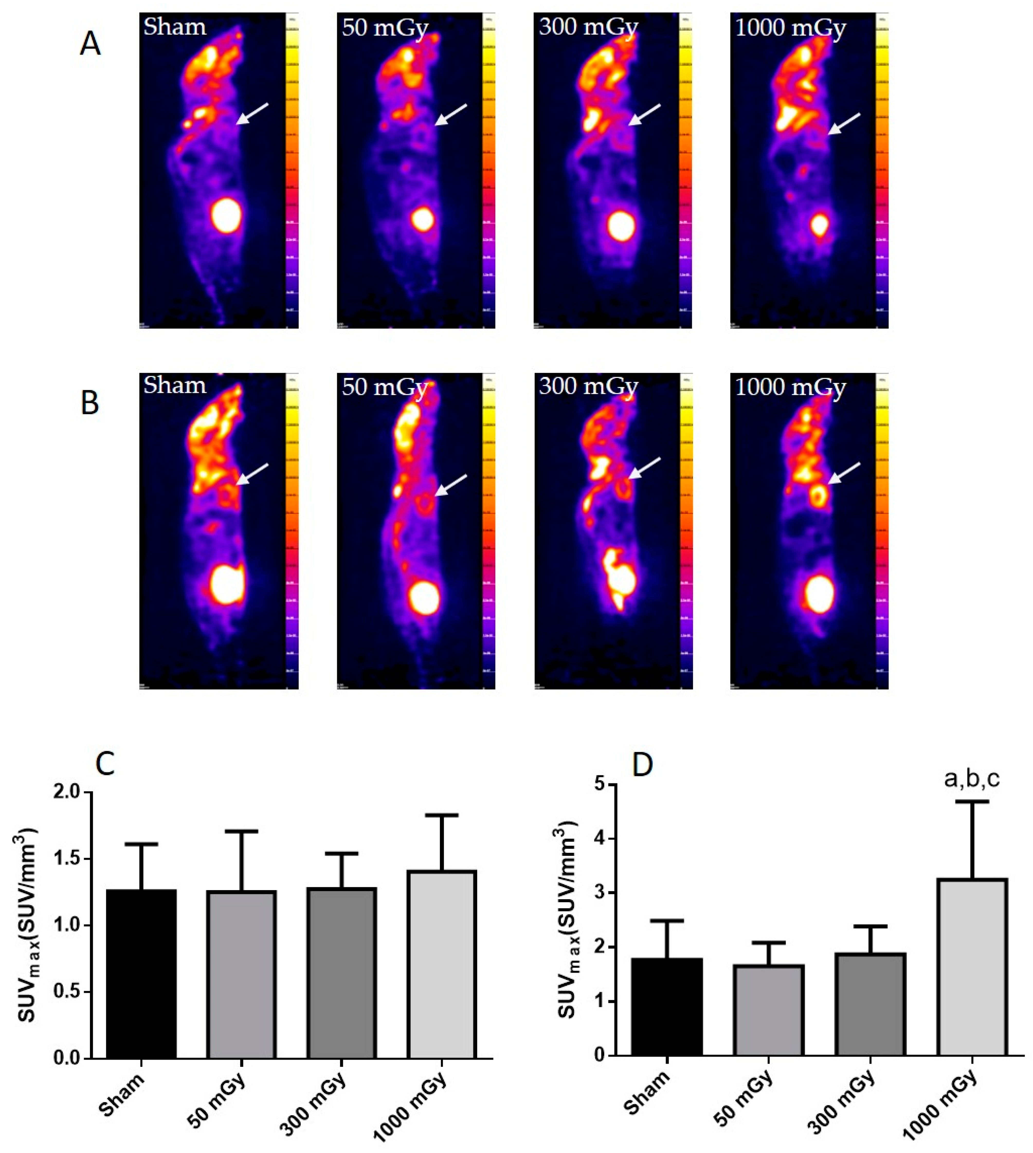 Antioxidants 10 00816 g001