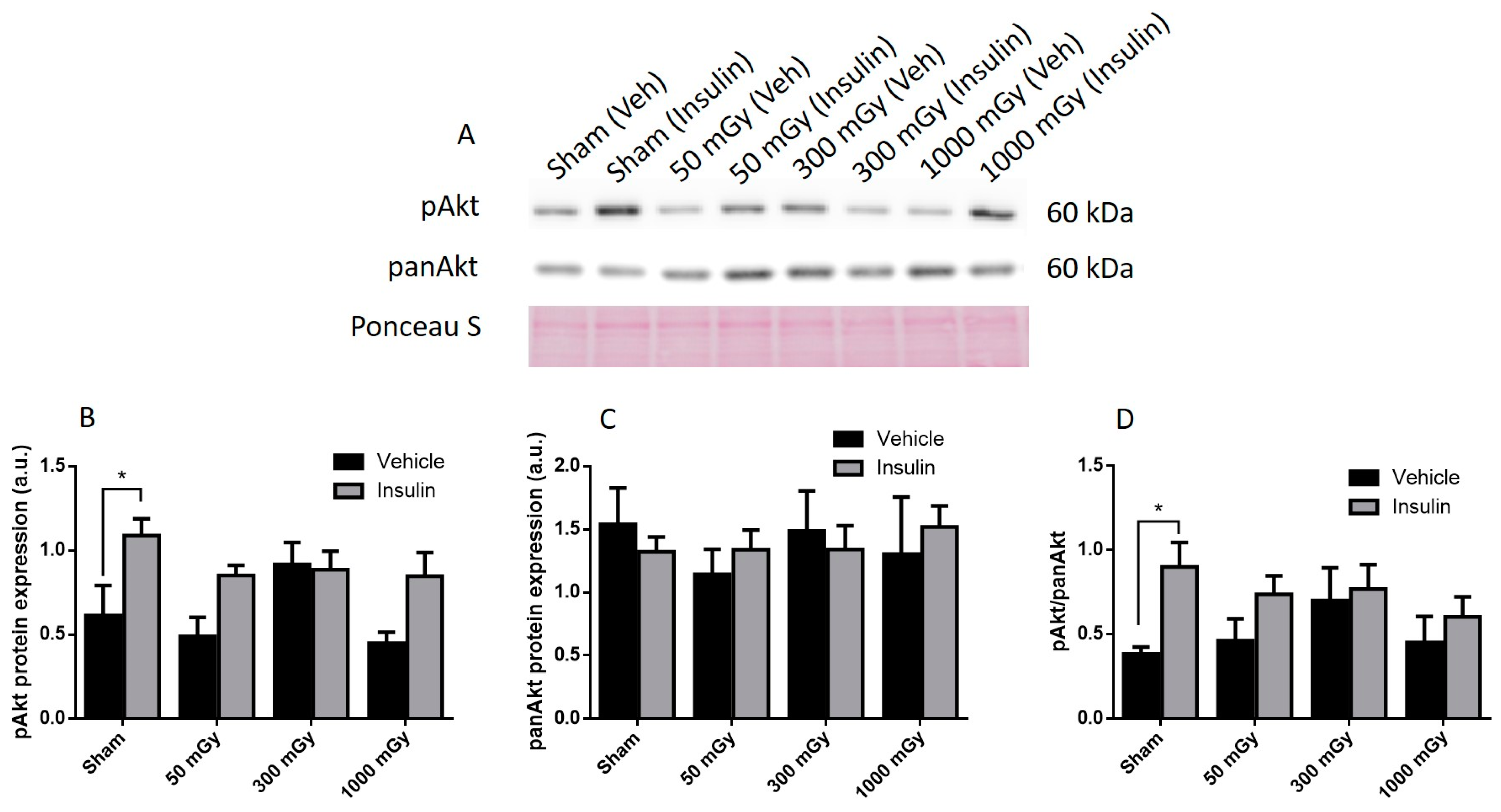 Antioxidants 10 00816 g003