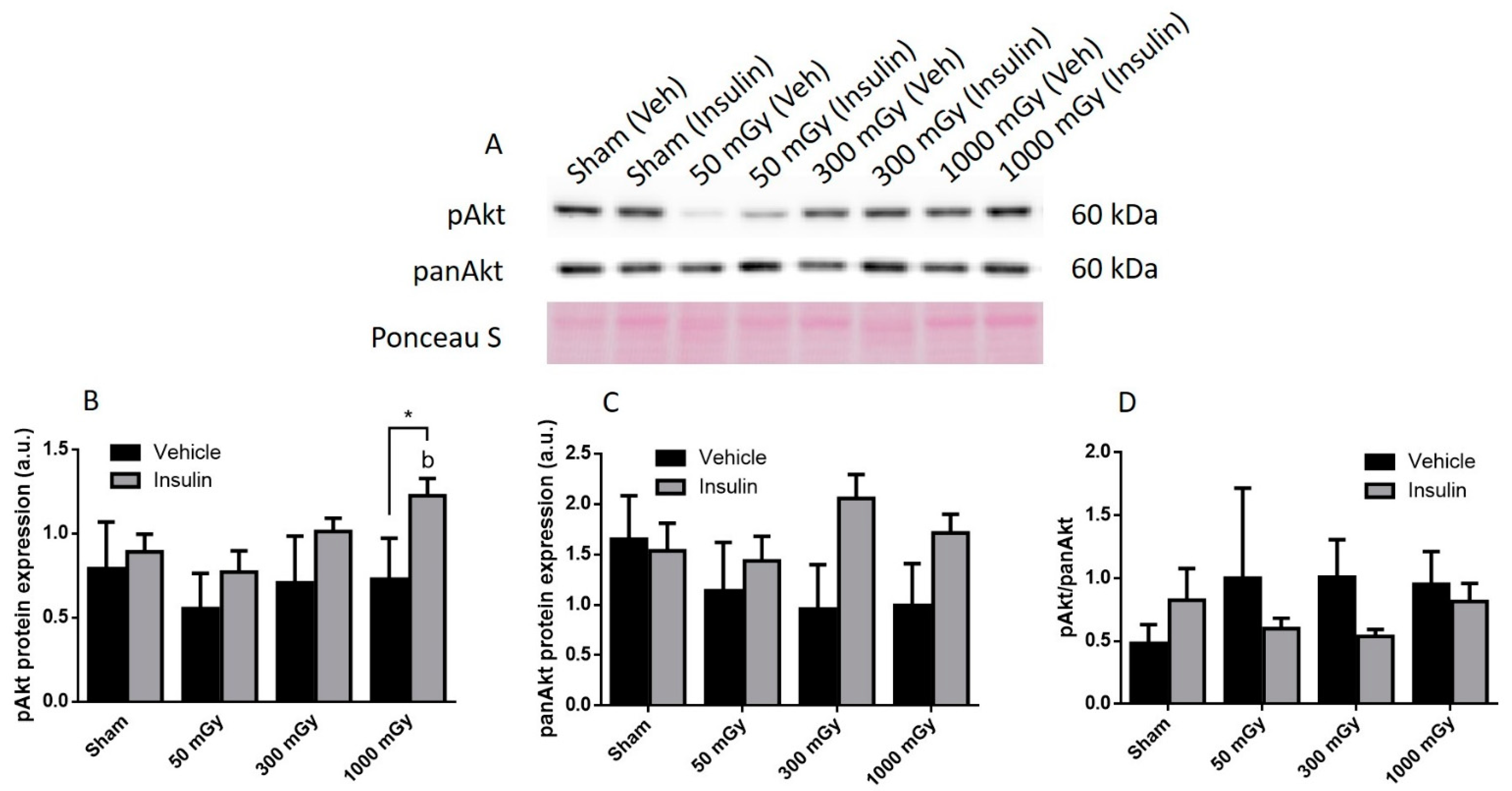 Antioxidants 10 00816 g004