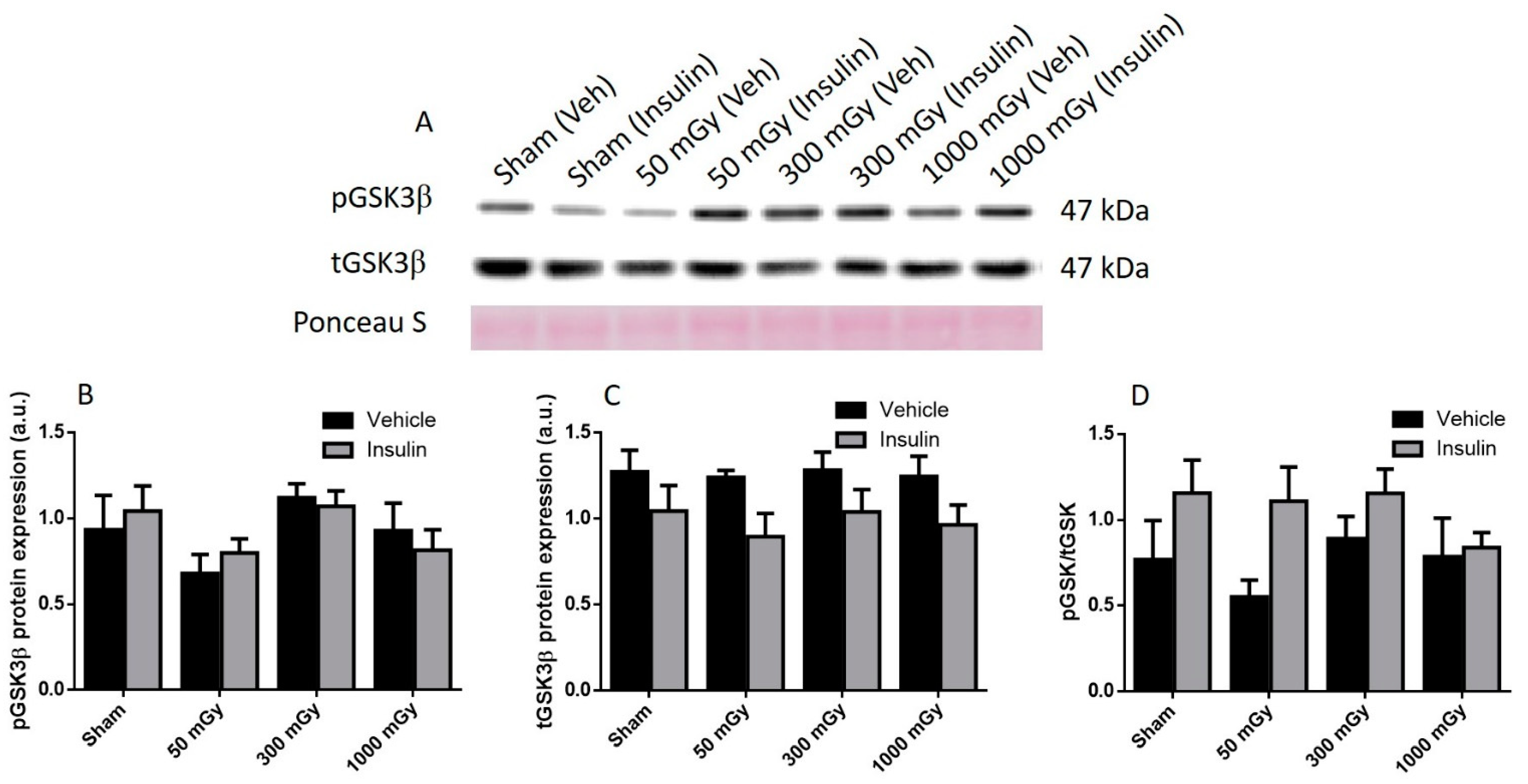 Antioxidants 10 00816 g005