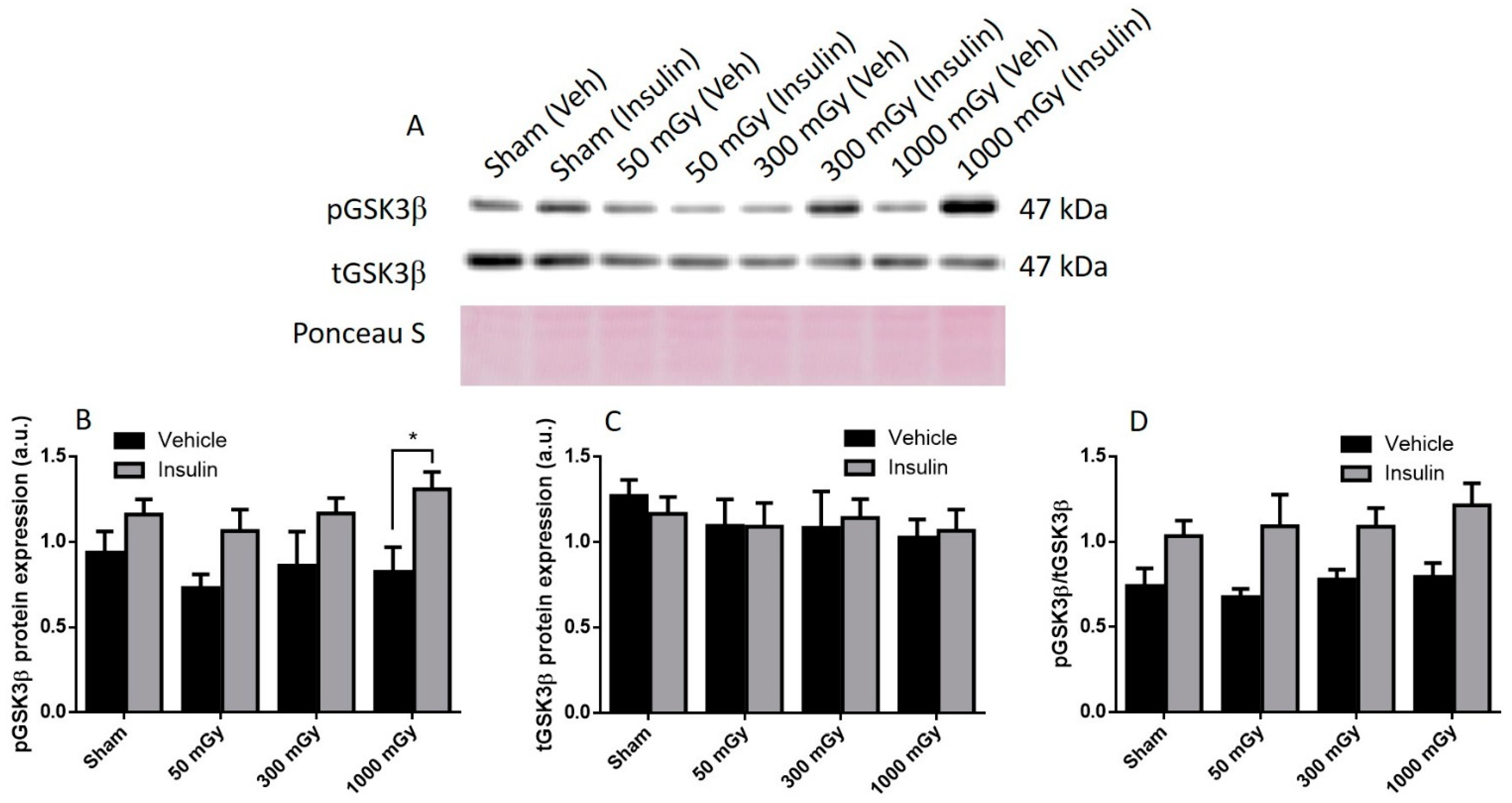 Antioxidants 10 00816 g006
