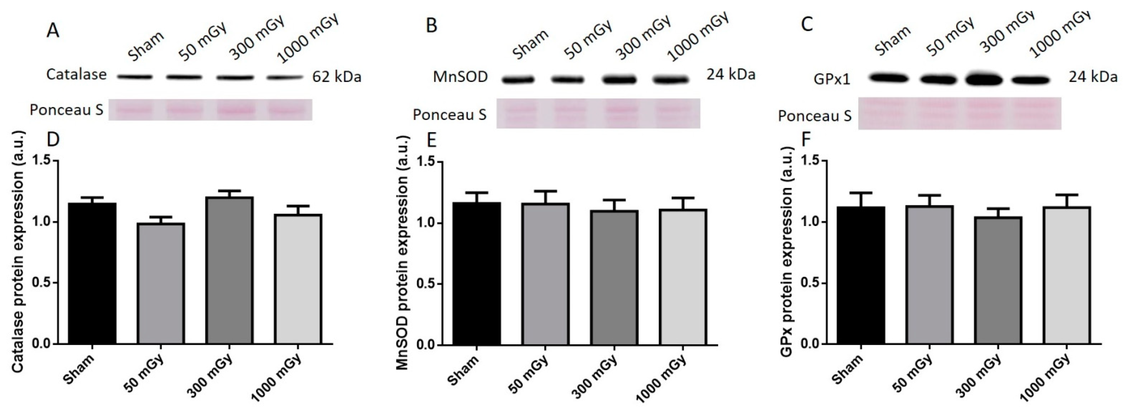 Antioxidants 10 00816 g009