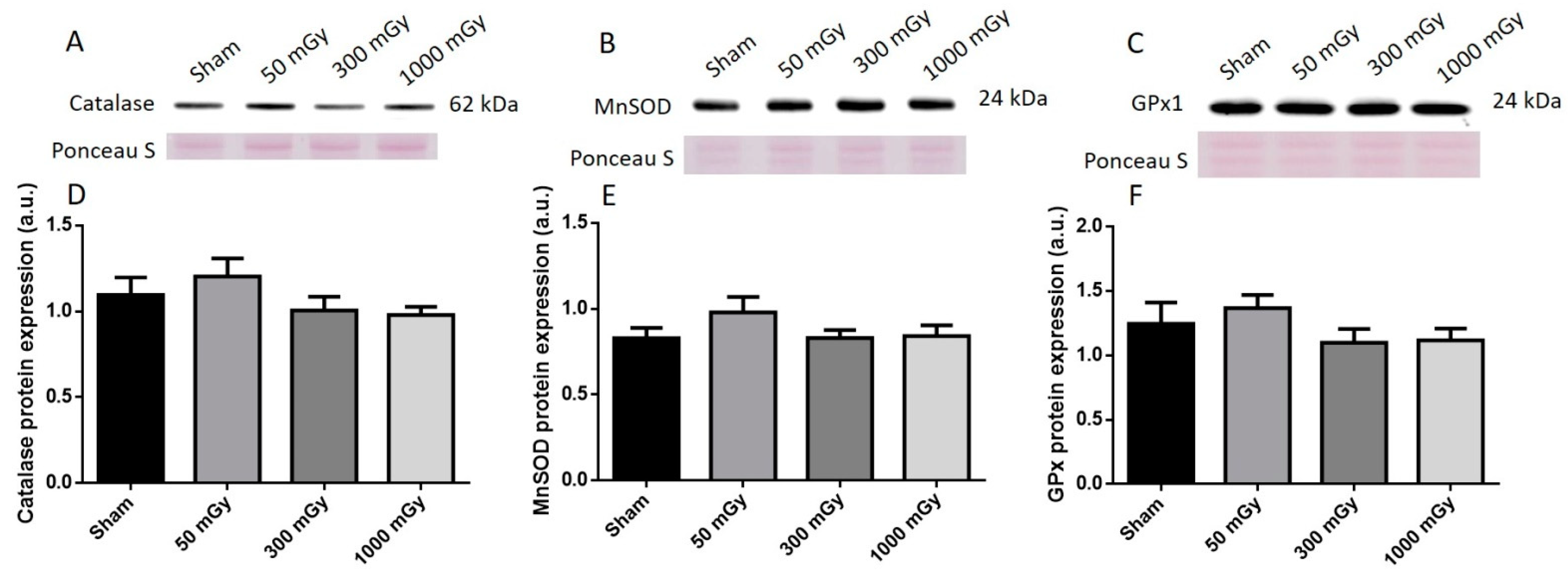 Antioxidants 10 00816 g010