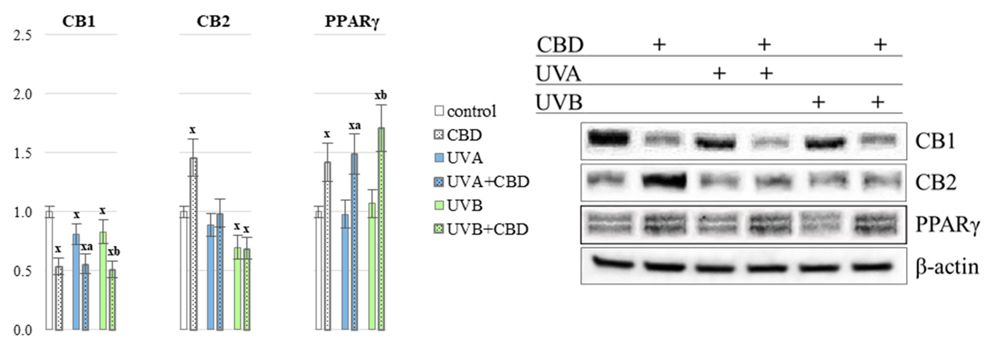 Antioxidants 10 00821 g010