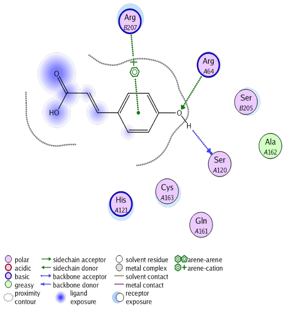 Antioxidants 10 00825 i005