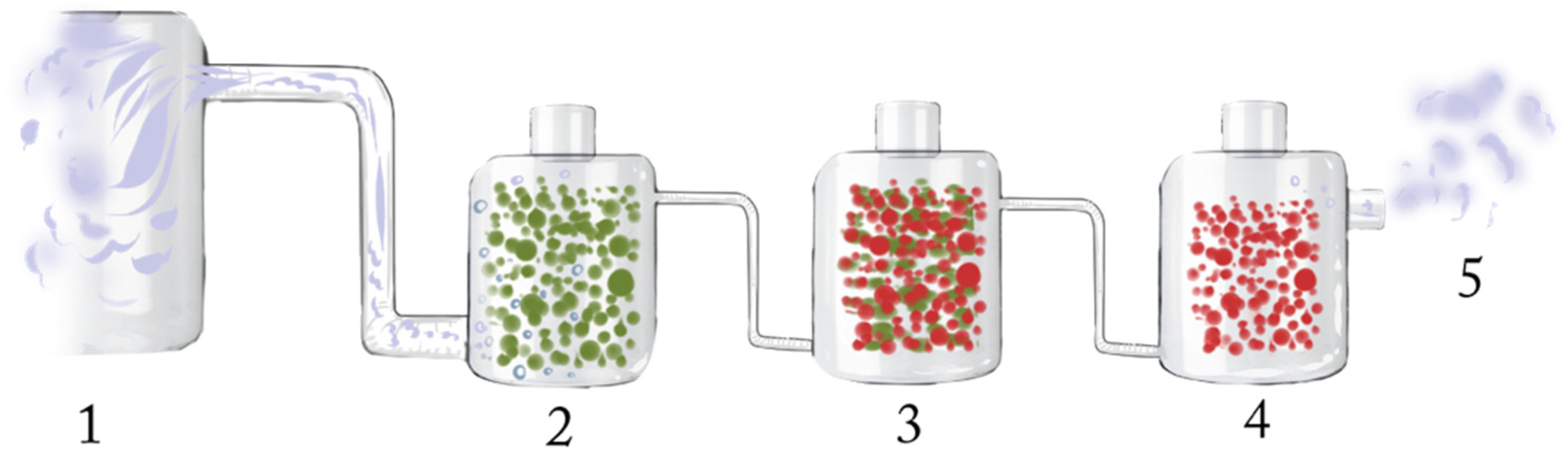 Antioxidants 10 00829 g001 Antioxidants 10 00829 g001