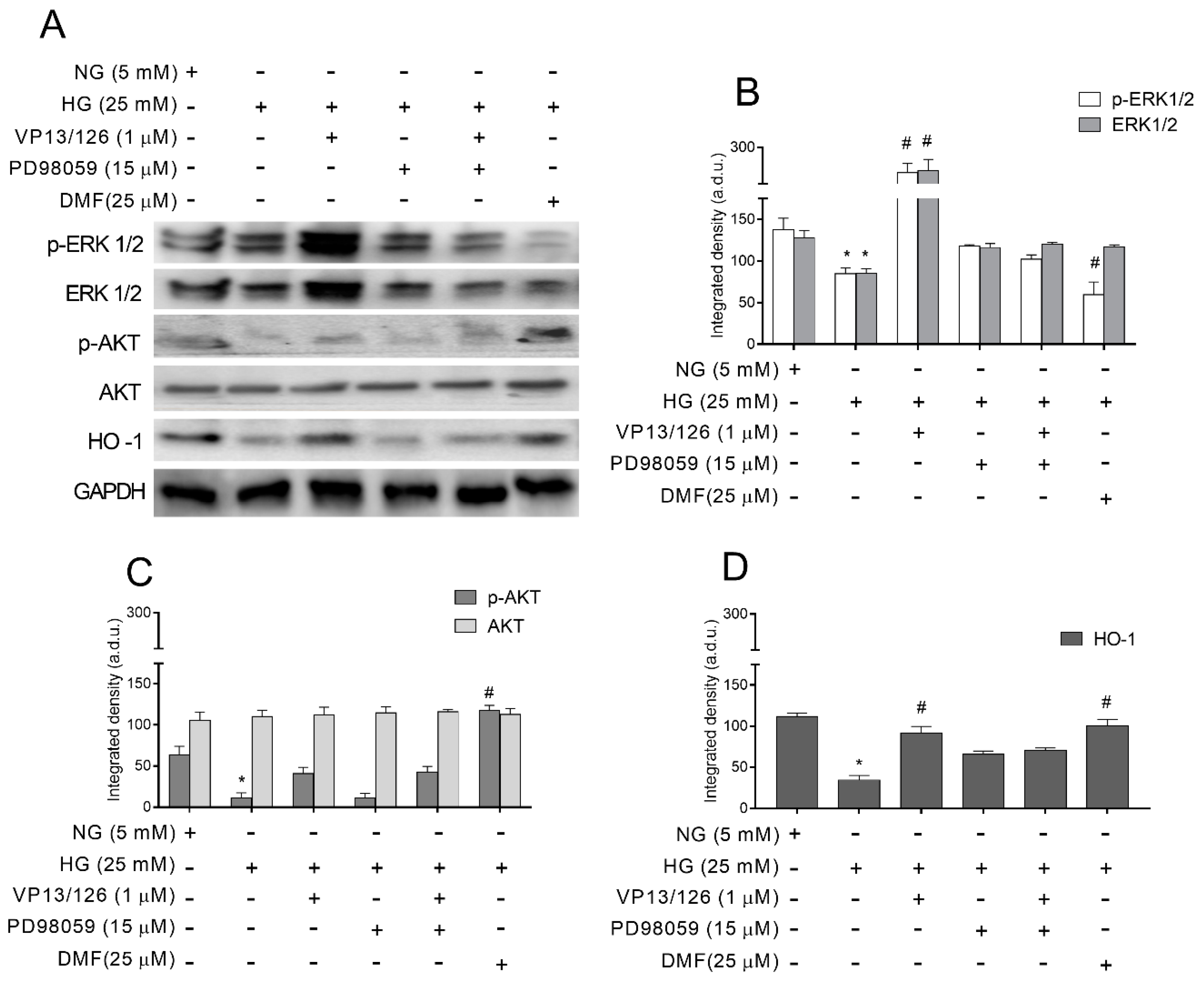 Antioxidants 10 00831 g005