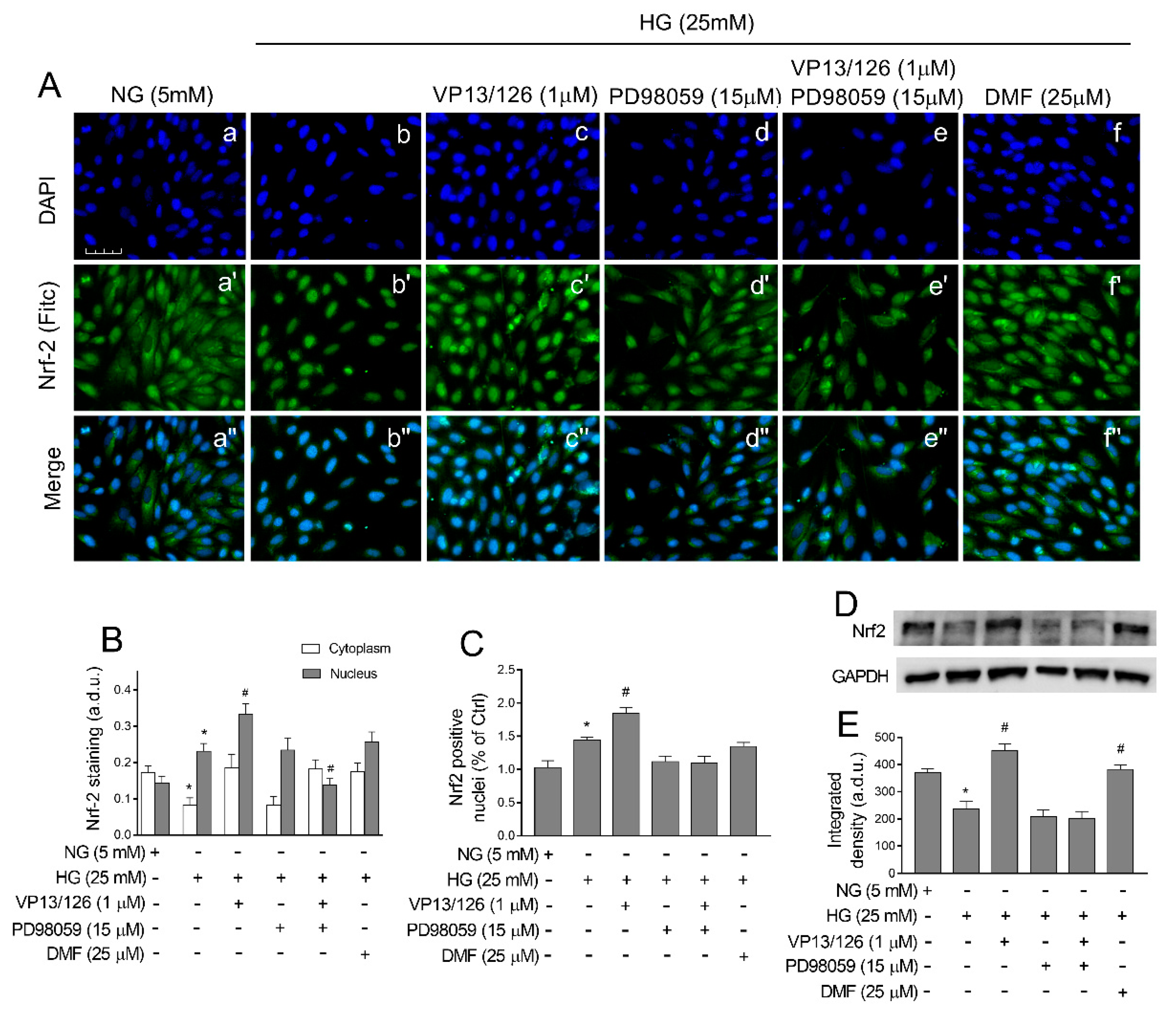 Antioxidants 10 00831 g006