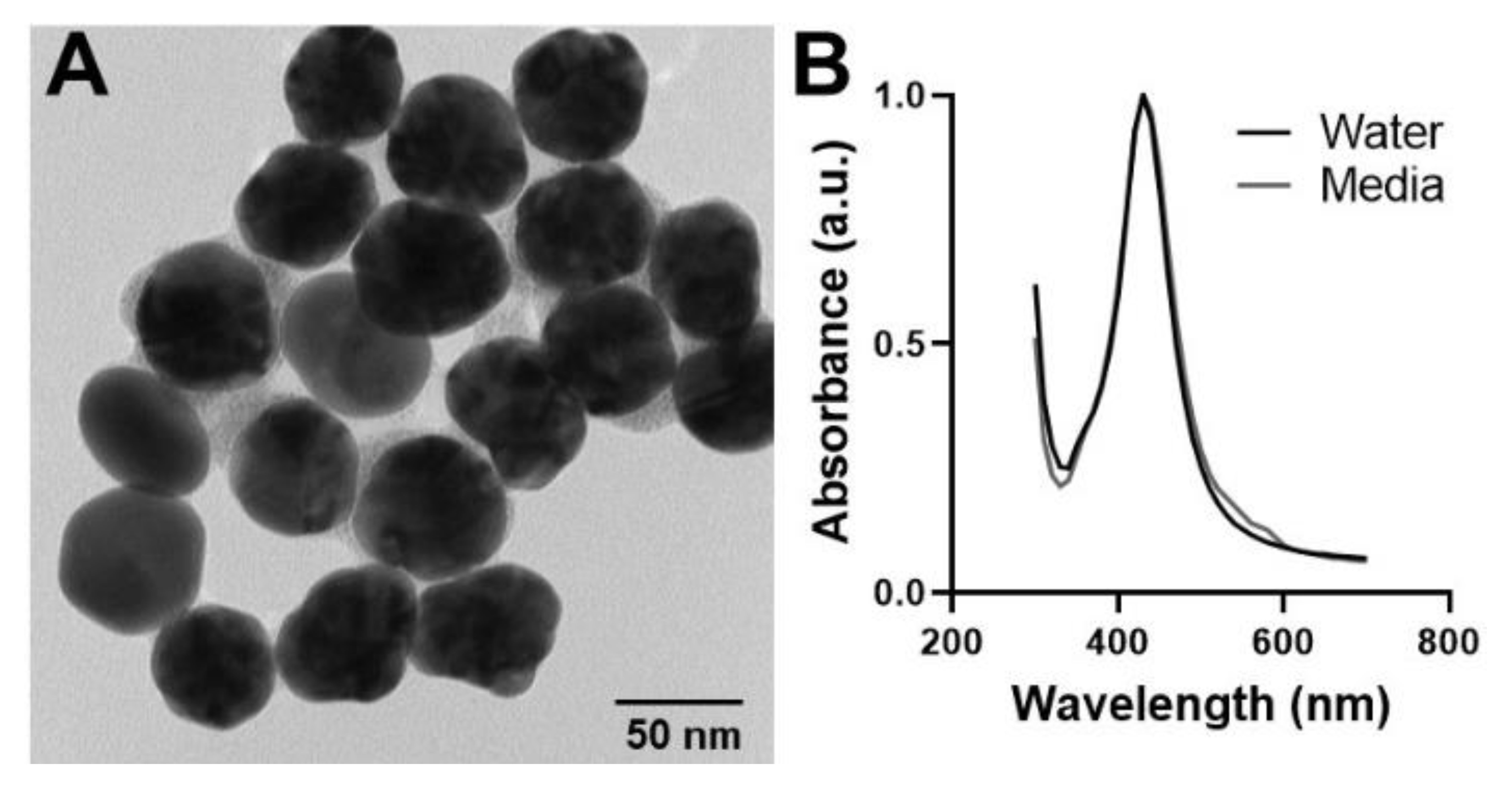 Antioxidants 10 00832 g001