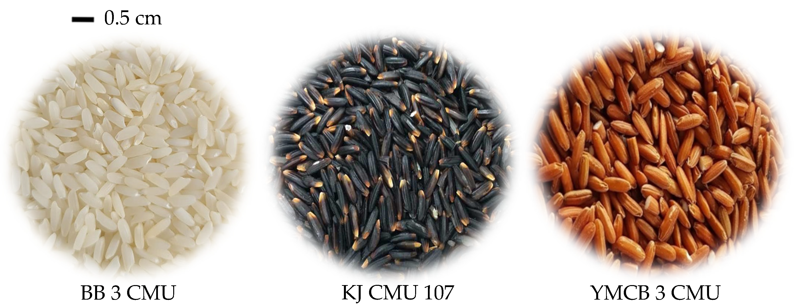 Antioxidants 10 00833 g001 Antioxidants 10 00833 g001