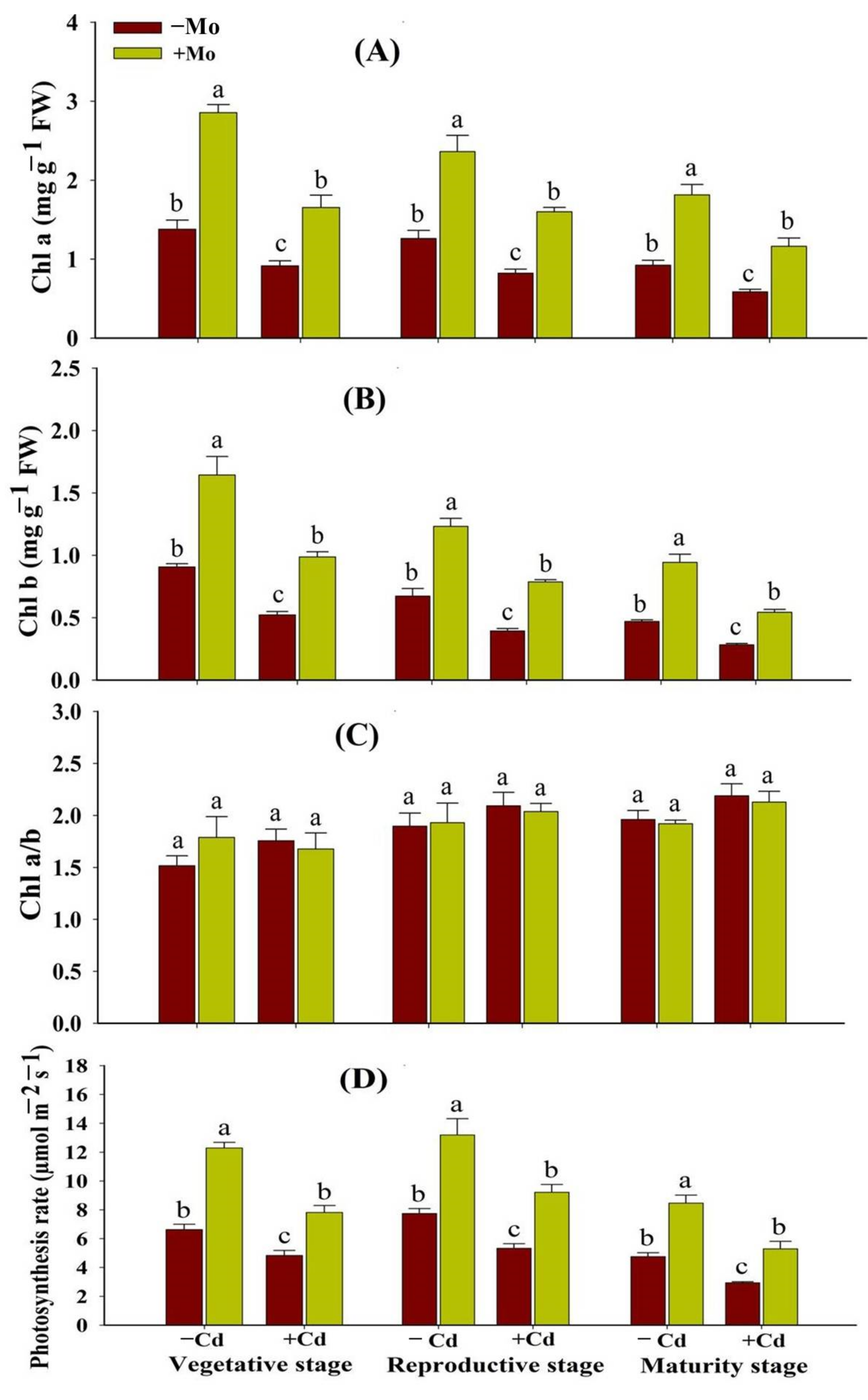 Antioxidants 10 00838 g001 Antioxidants 10 00838 g001