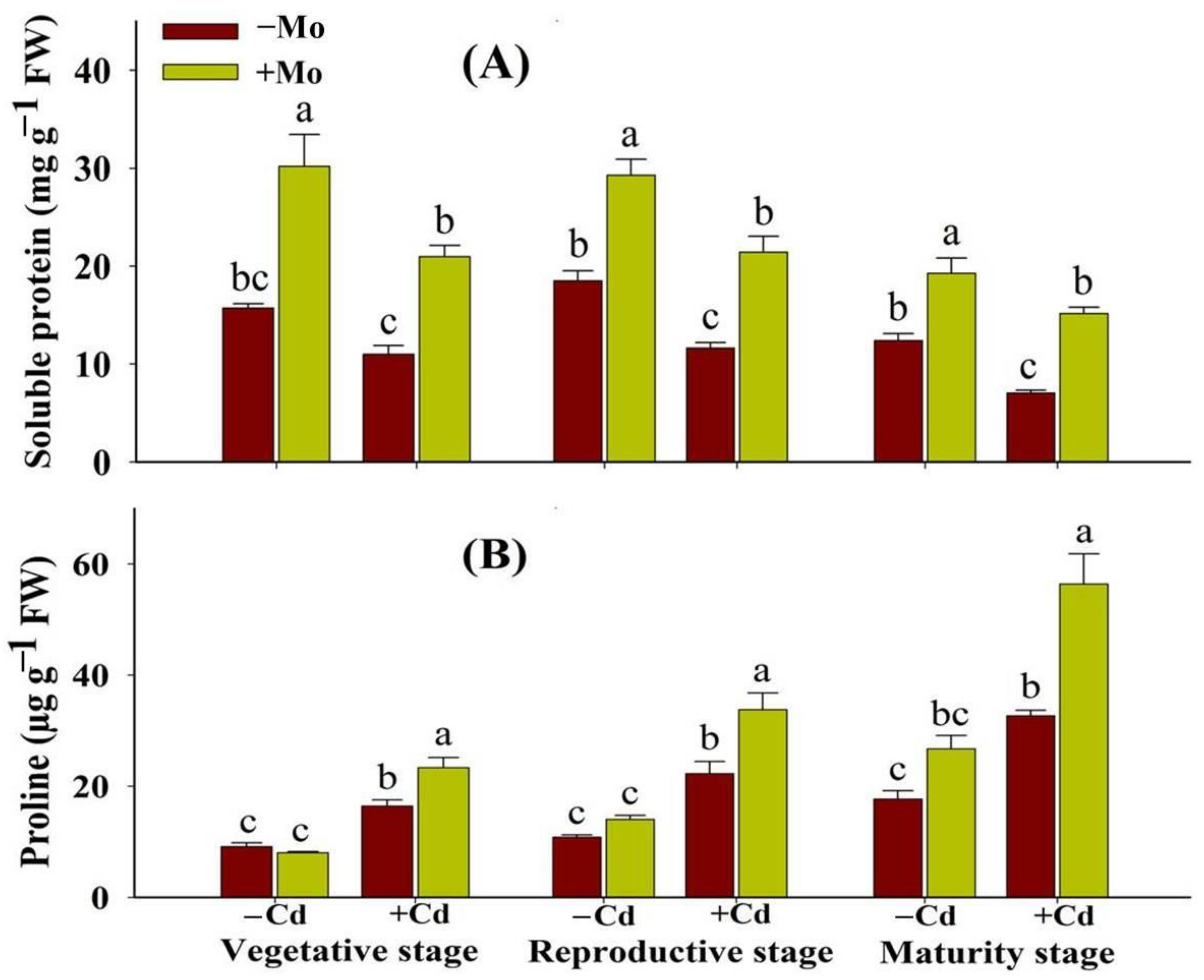 Antioxidants 10 00838 g003 Antioxidants 10 00838 g003