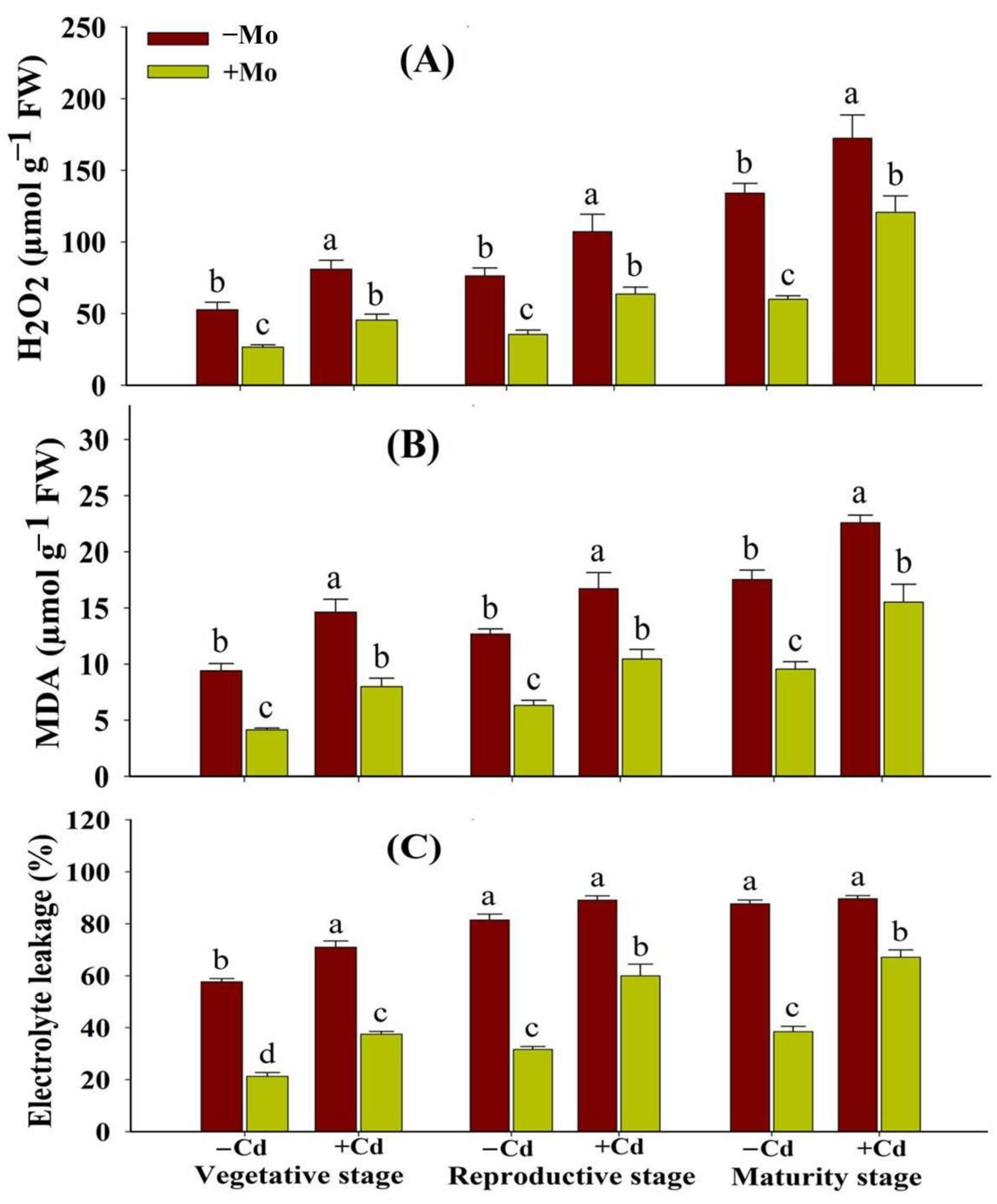 Antioxidants 10 00838 g004 Antioxidants 10 00838 g004