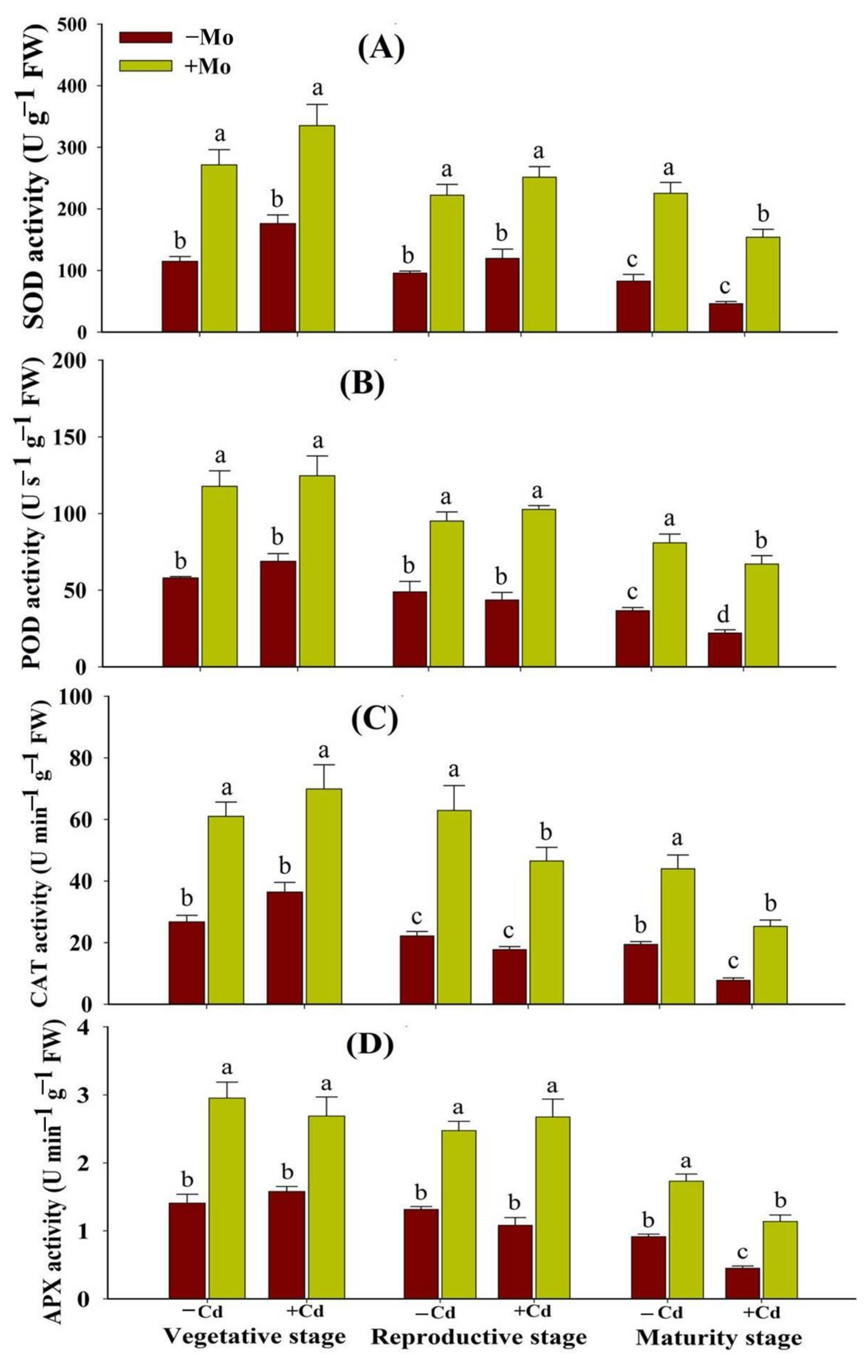 Antioxidants 10 00838 g005 Antioxidants 10 00838 g005