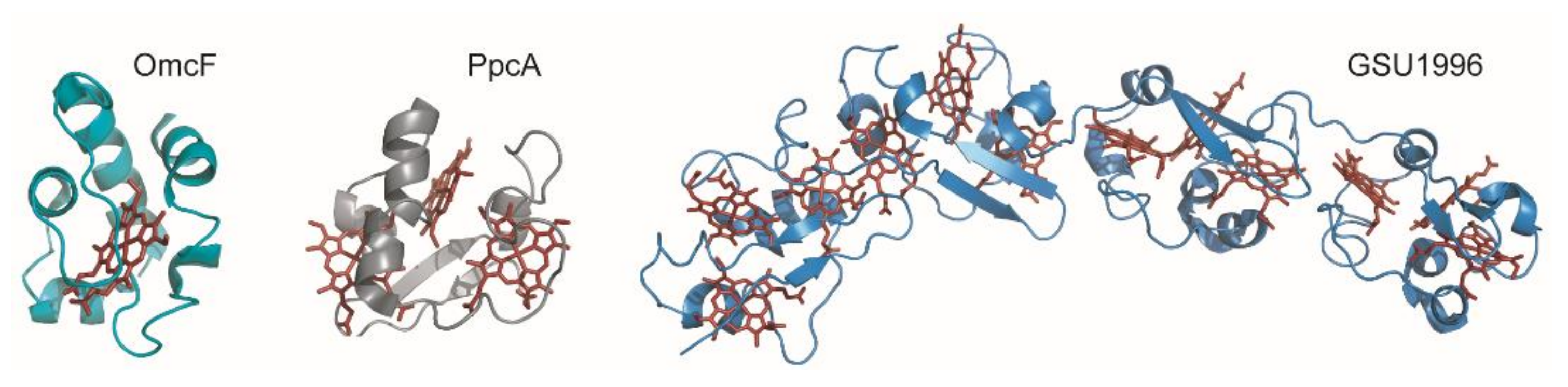 Antioxidants 10 00844 g002