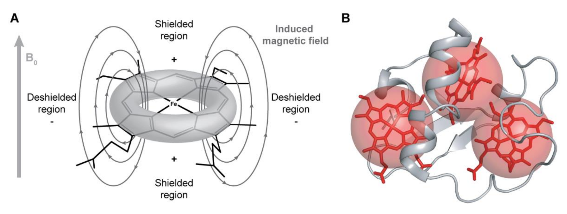 Antioxidants 10 00844 g004